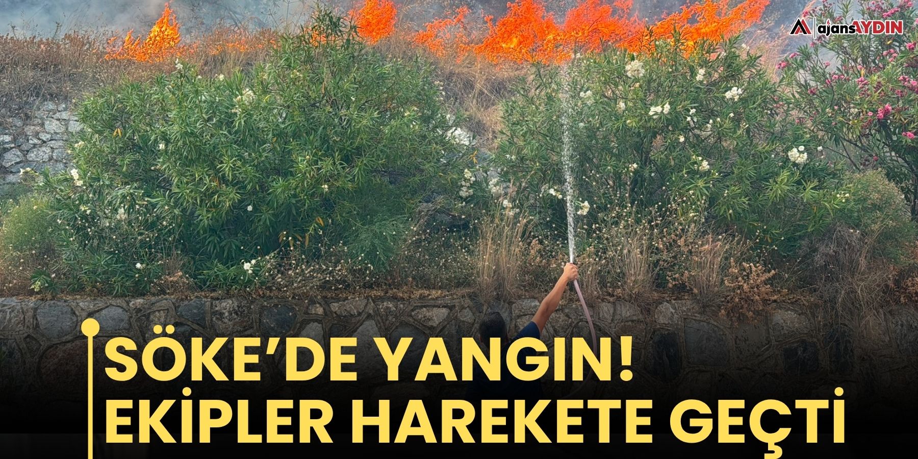 Söke’de yangın!  Ekipler harekete geçti