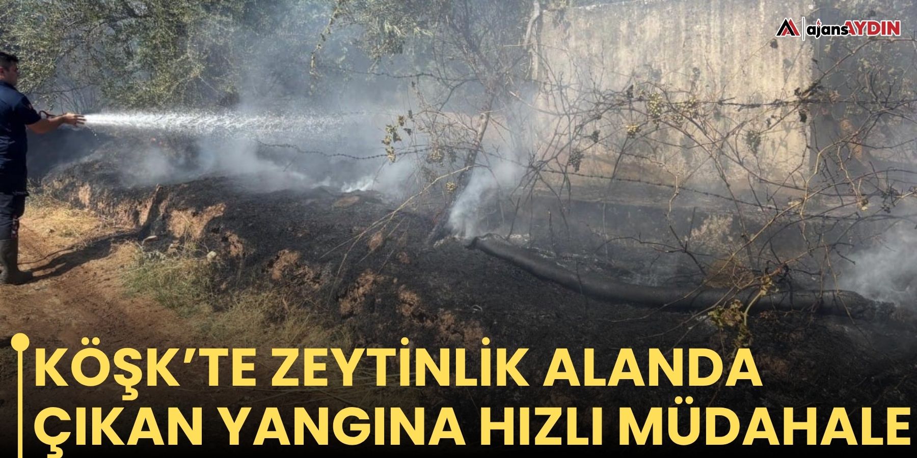 Köşk’te zeytinlik alanda çıkan yangına hızlı müdahale
