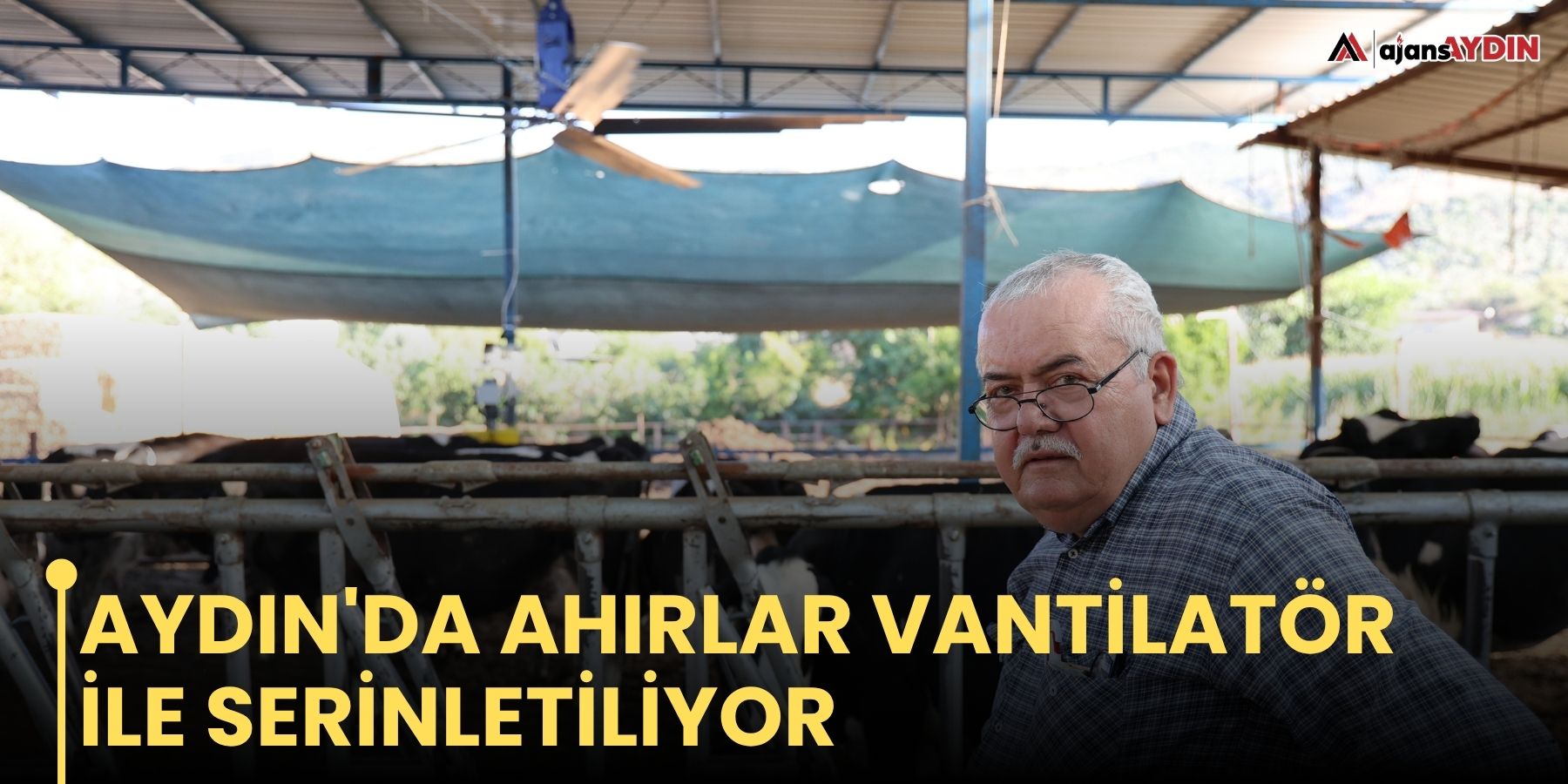 Aydın'da ahırlar vantilatör ile serinletiliyor