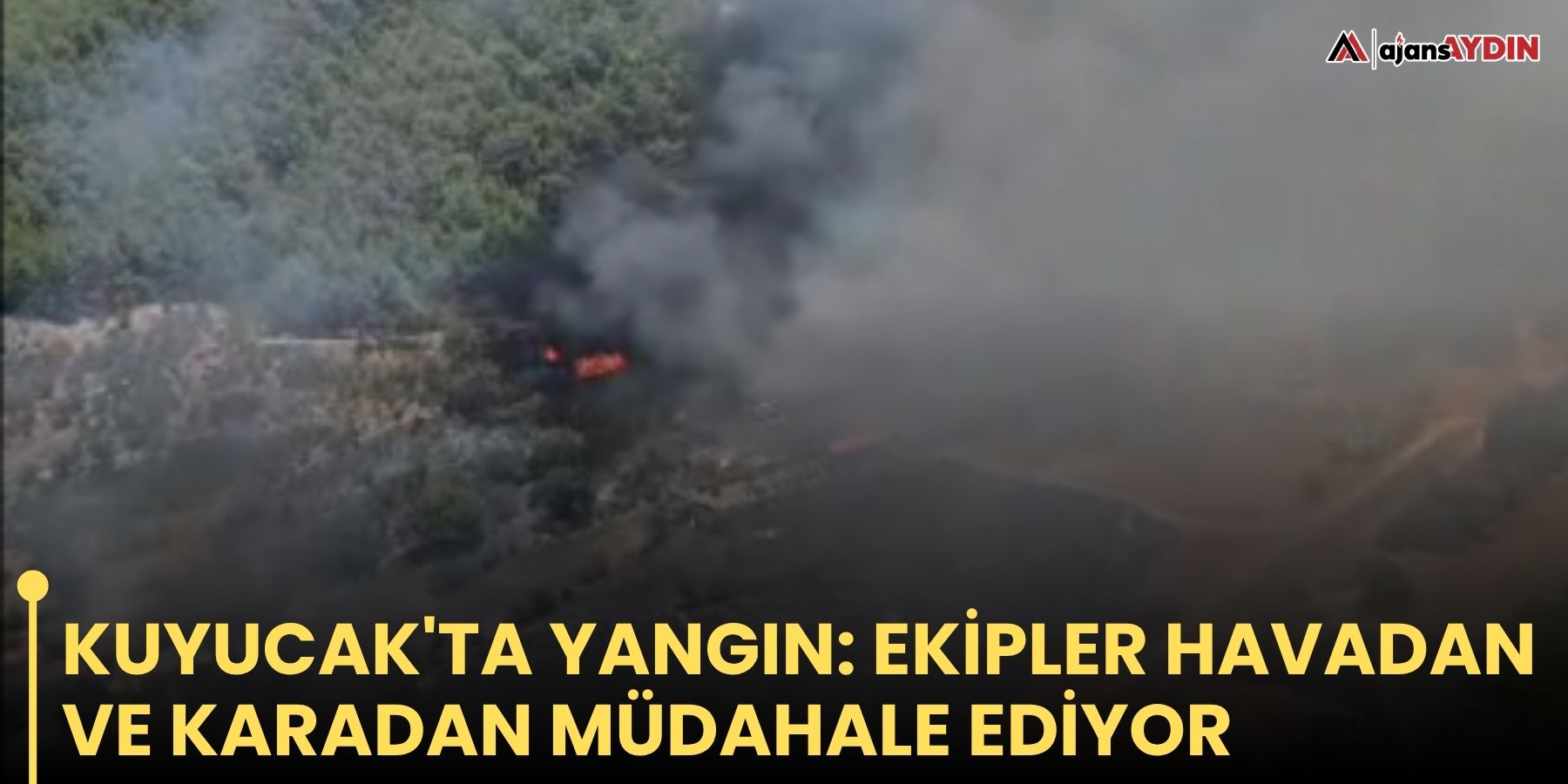 Kuyucak'ta yangın: Ekipler havadan ve karadan müdahale ediyor
