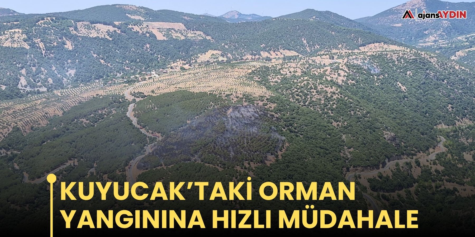Kuyucak’taki orman yangınına hızlı müdahale