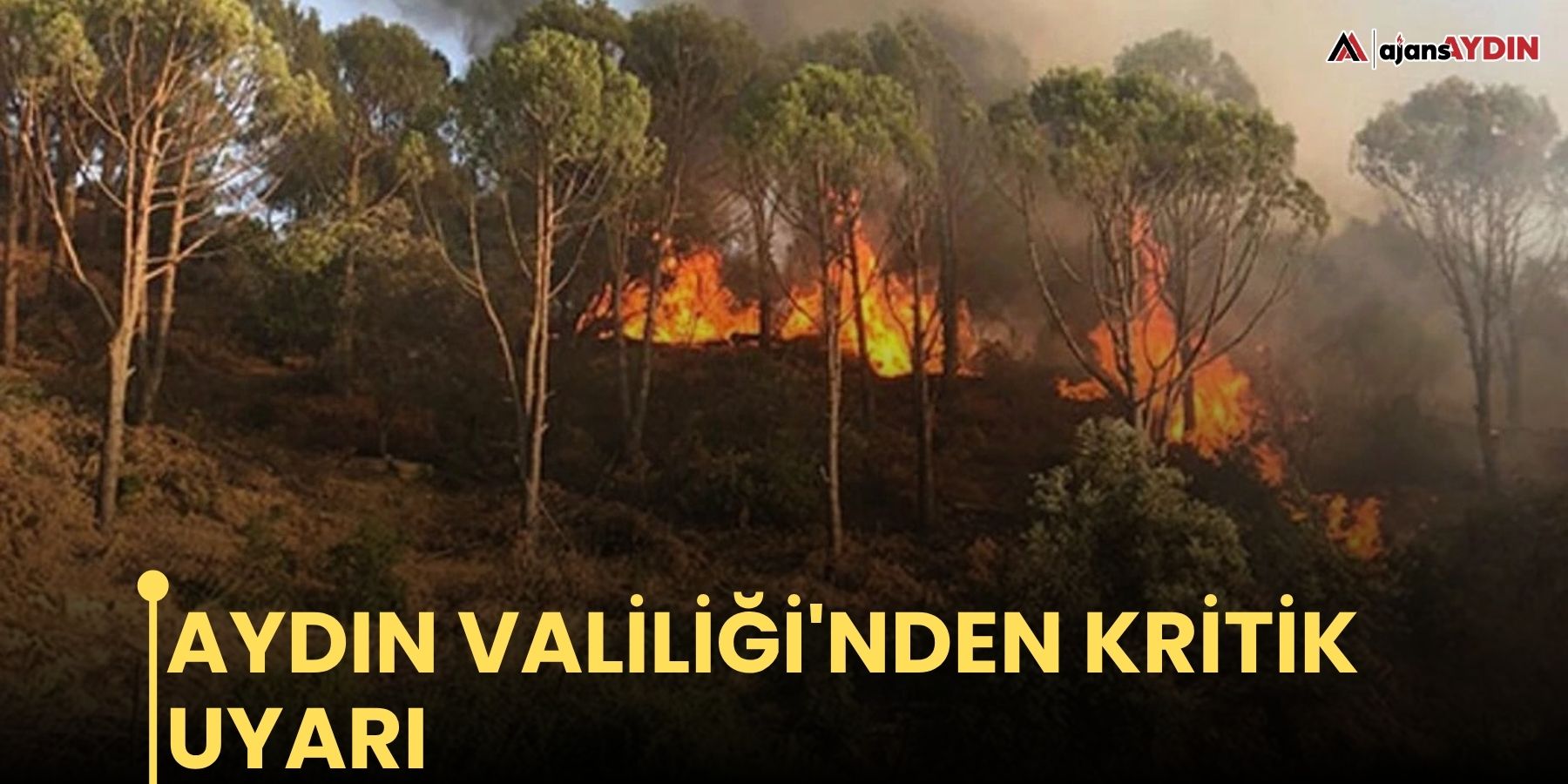 Aydın Valiliği'nden kritik uyarı