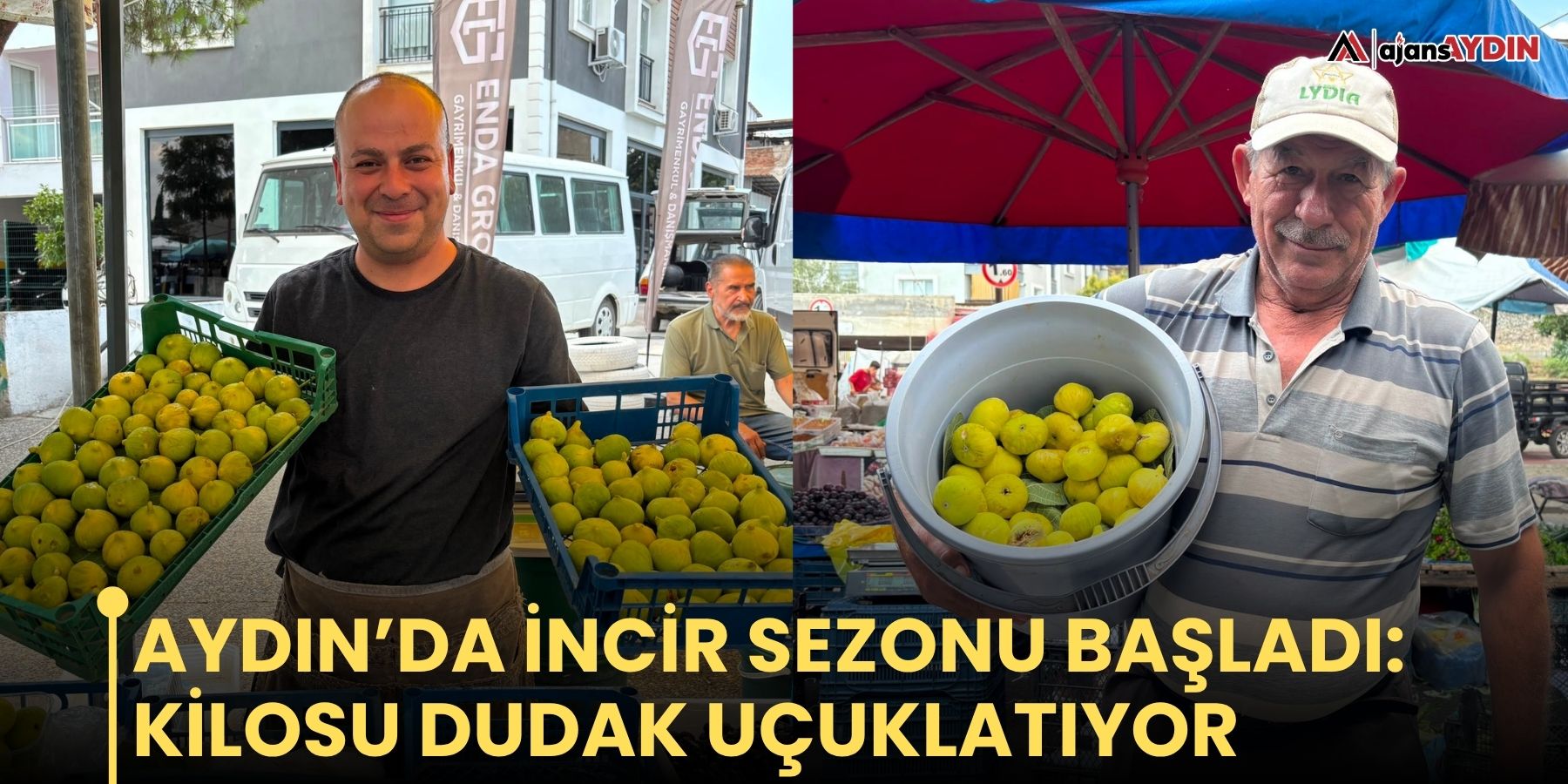 Aydın’da incir sezonu başladı: kilosu dudak uçuklatıyor