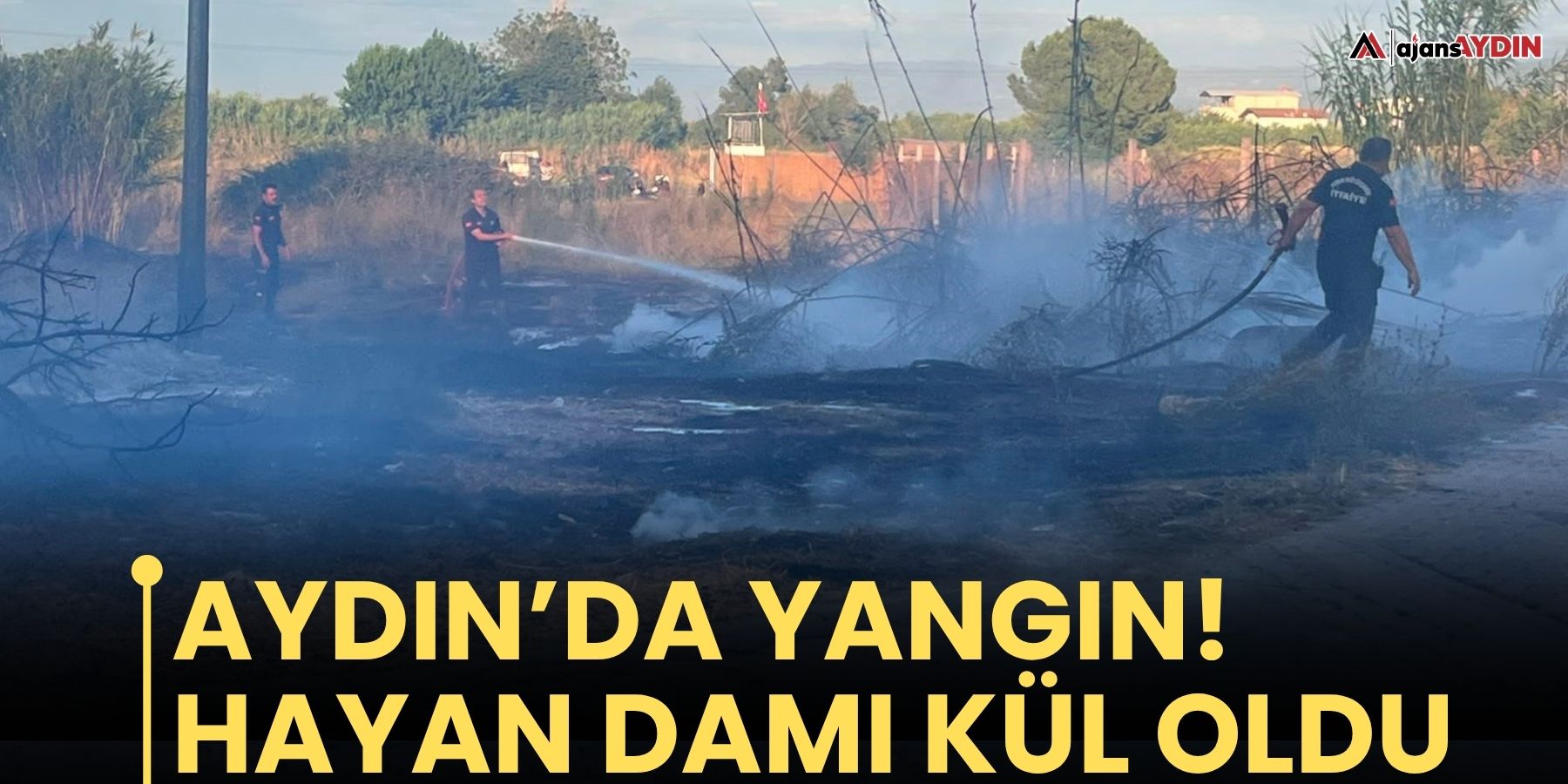 Aydın’da yangın!  Hayan damı kül oldu