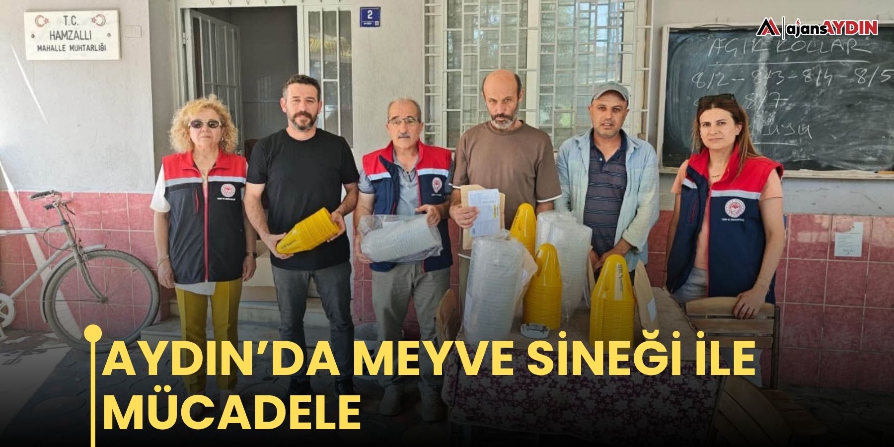 Aydın’da meyve sineği ile mücadele