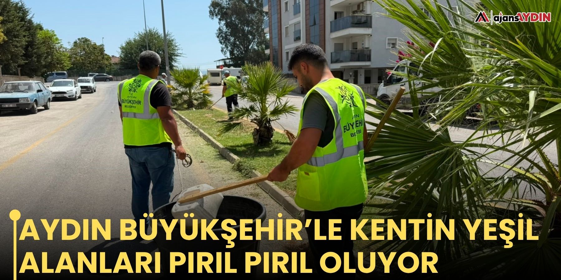 Aydın Büyükşehir’le kentin yeşil alanları pırıl pırıl oluyor