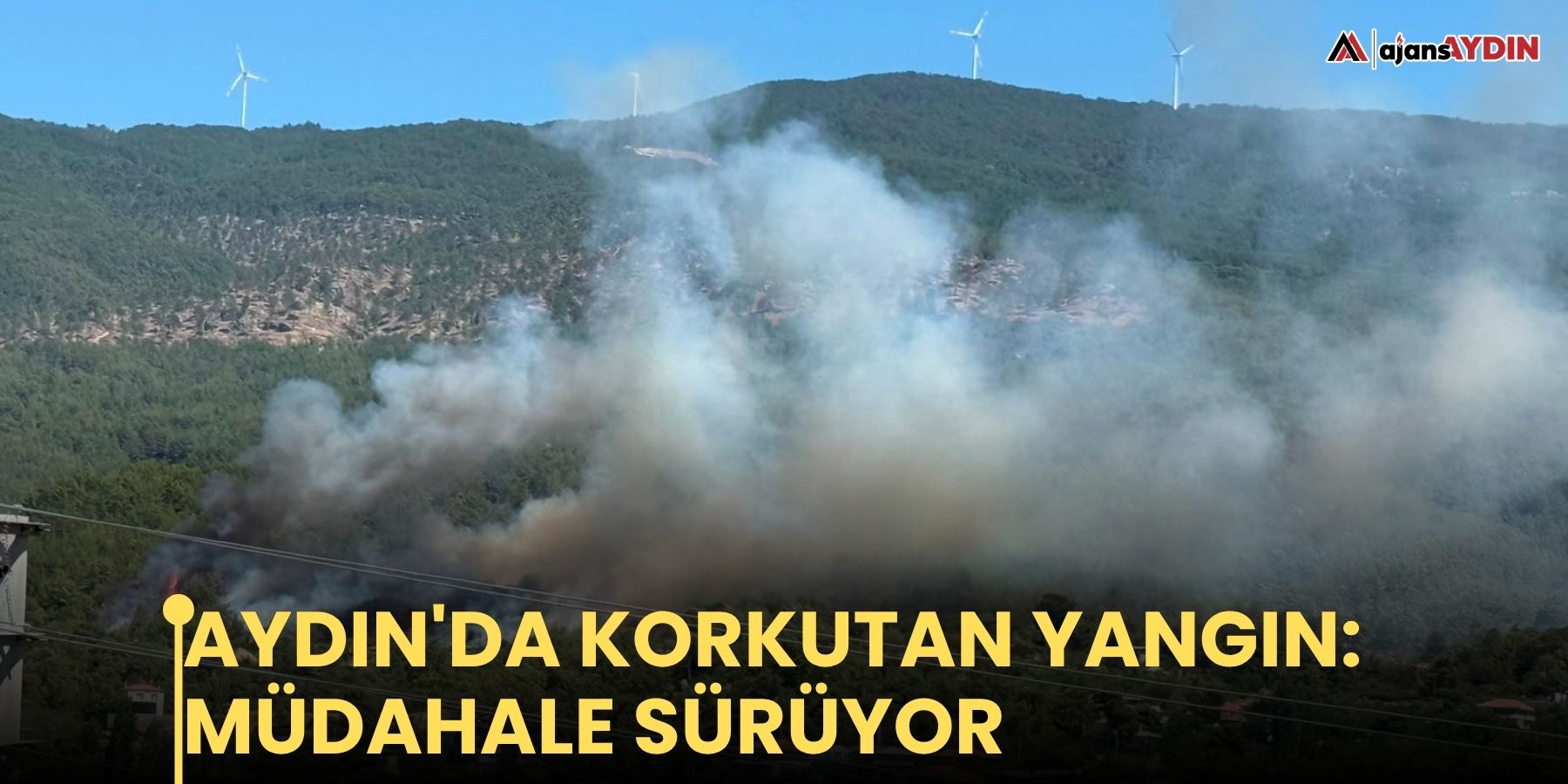 Aydın'da korkutan yangın: müdahale sürüyor