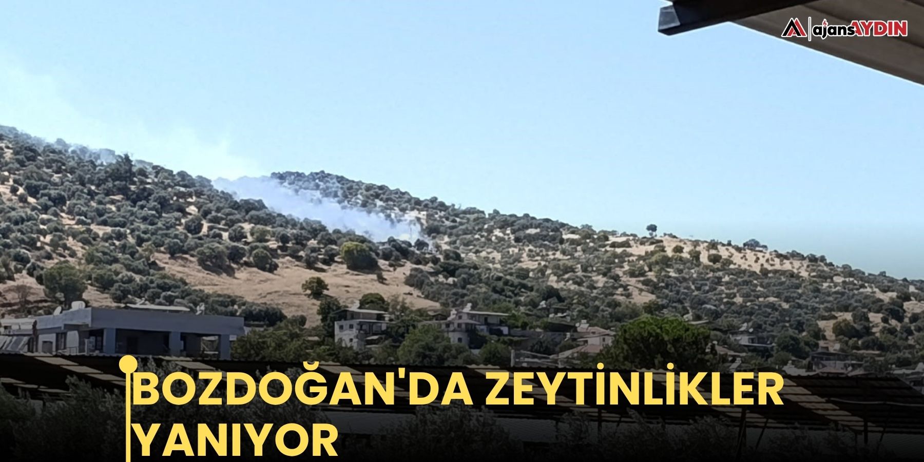 Bozdoğan'da zeytinlikler yanıyor