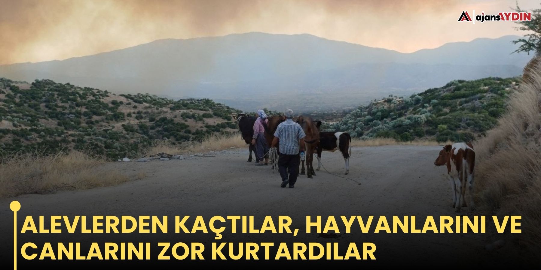 Alevlerden kaçtılar, hayvanlarını ve canlarını zor kurtardılar