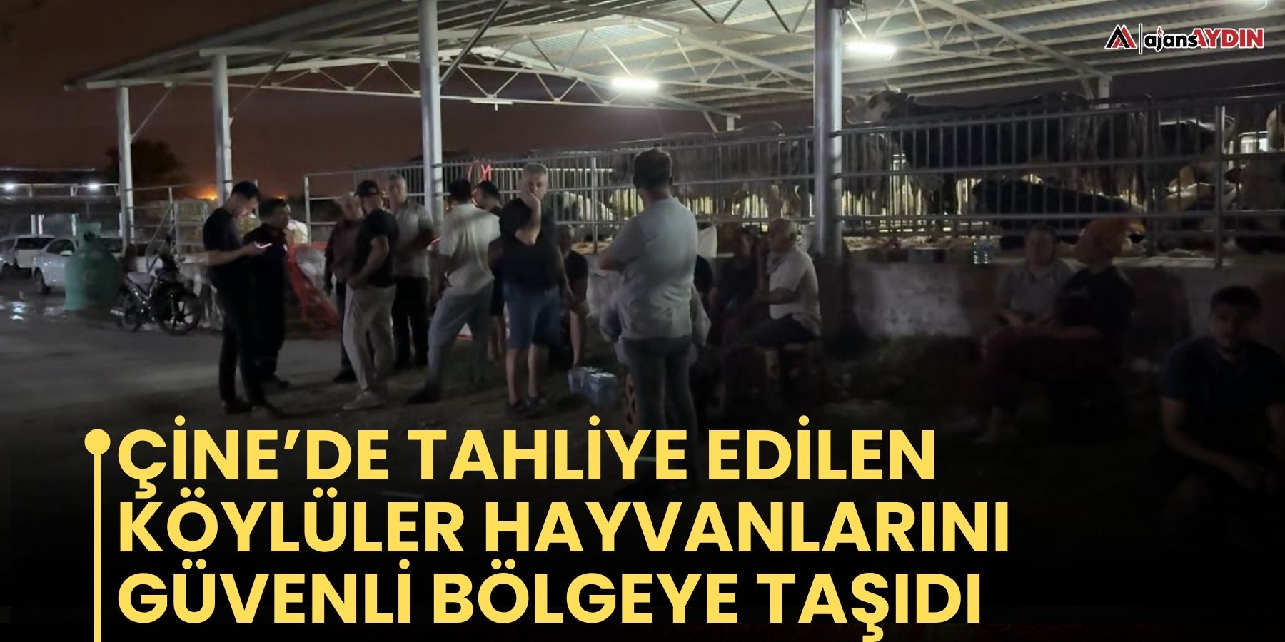 Çine’de tahliye edilen köylüler hayvanlarını güvenli bölgeye taşıdı