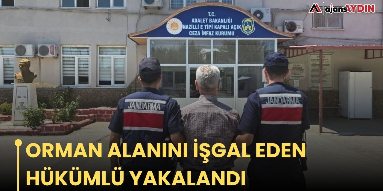 Orman alanını işgal eden hükümlü yakalandı