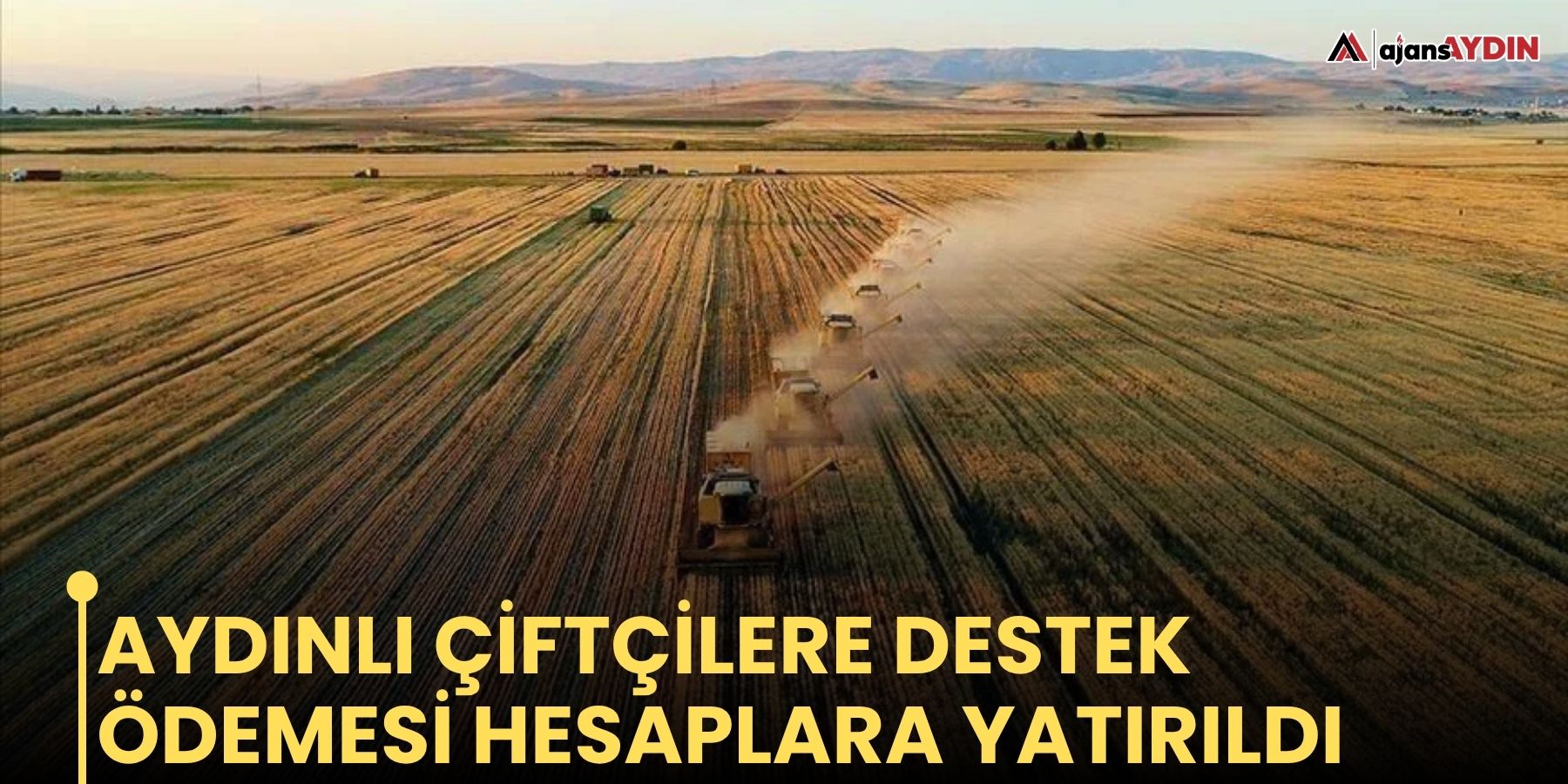 Aydınlı çiftçilere destek ödemesi hesaplara yatırıldı