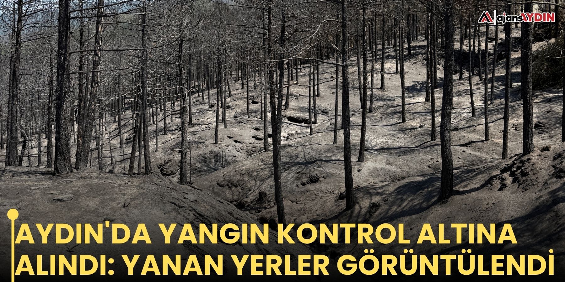 Aydın'da yangın kontrol altına alındı: Yanan yerler görüntülendi