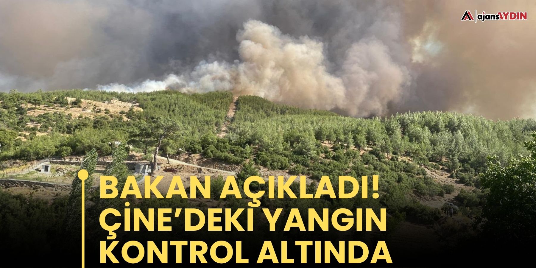 Bakan açıkladı!  Çine’deki yangın kontrol altında