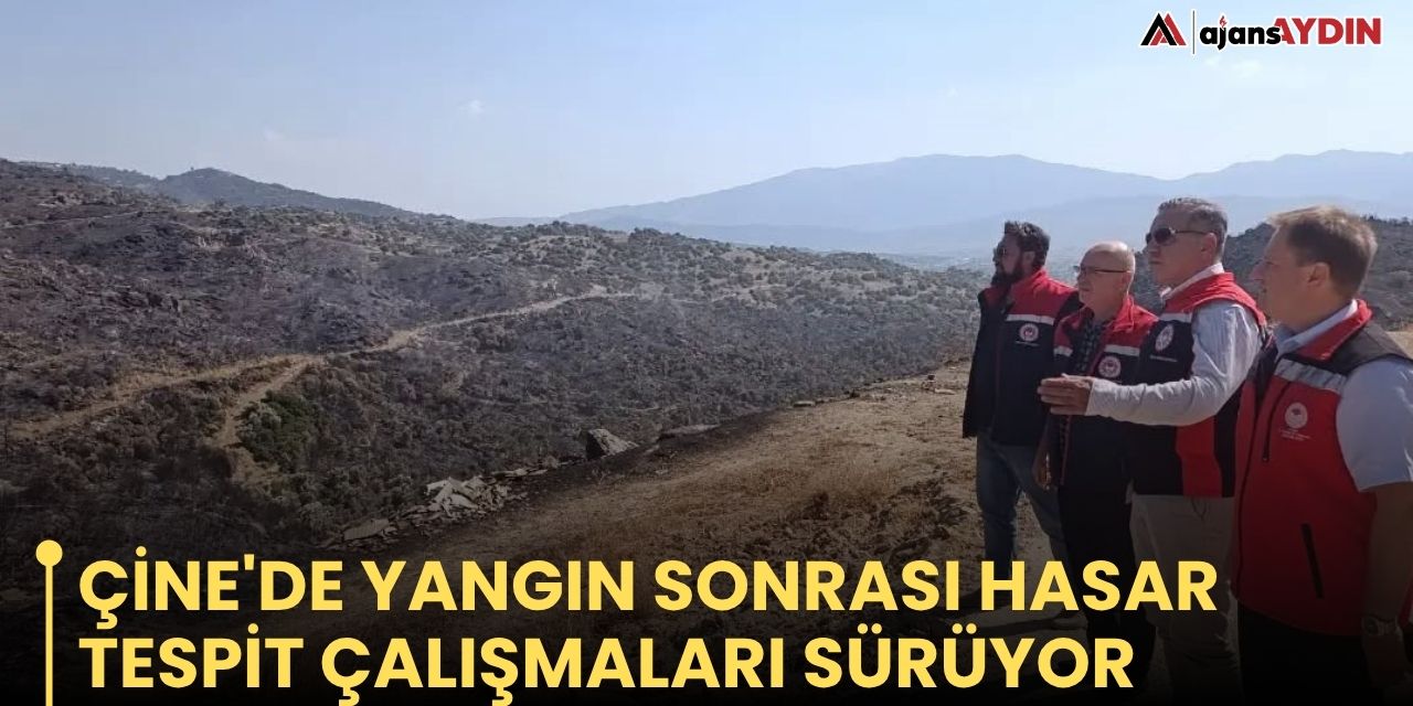 Çine'de yangın sonrası hasar tespit çalışmaları sürüyor
