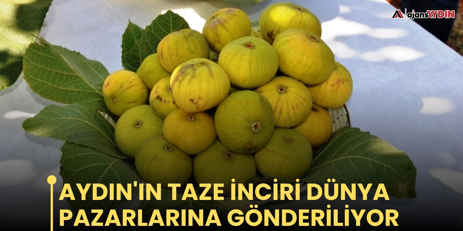 Aydın'ın taze inciri dünya pazarlarına gönderiliyor