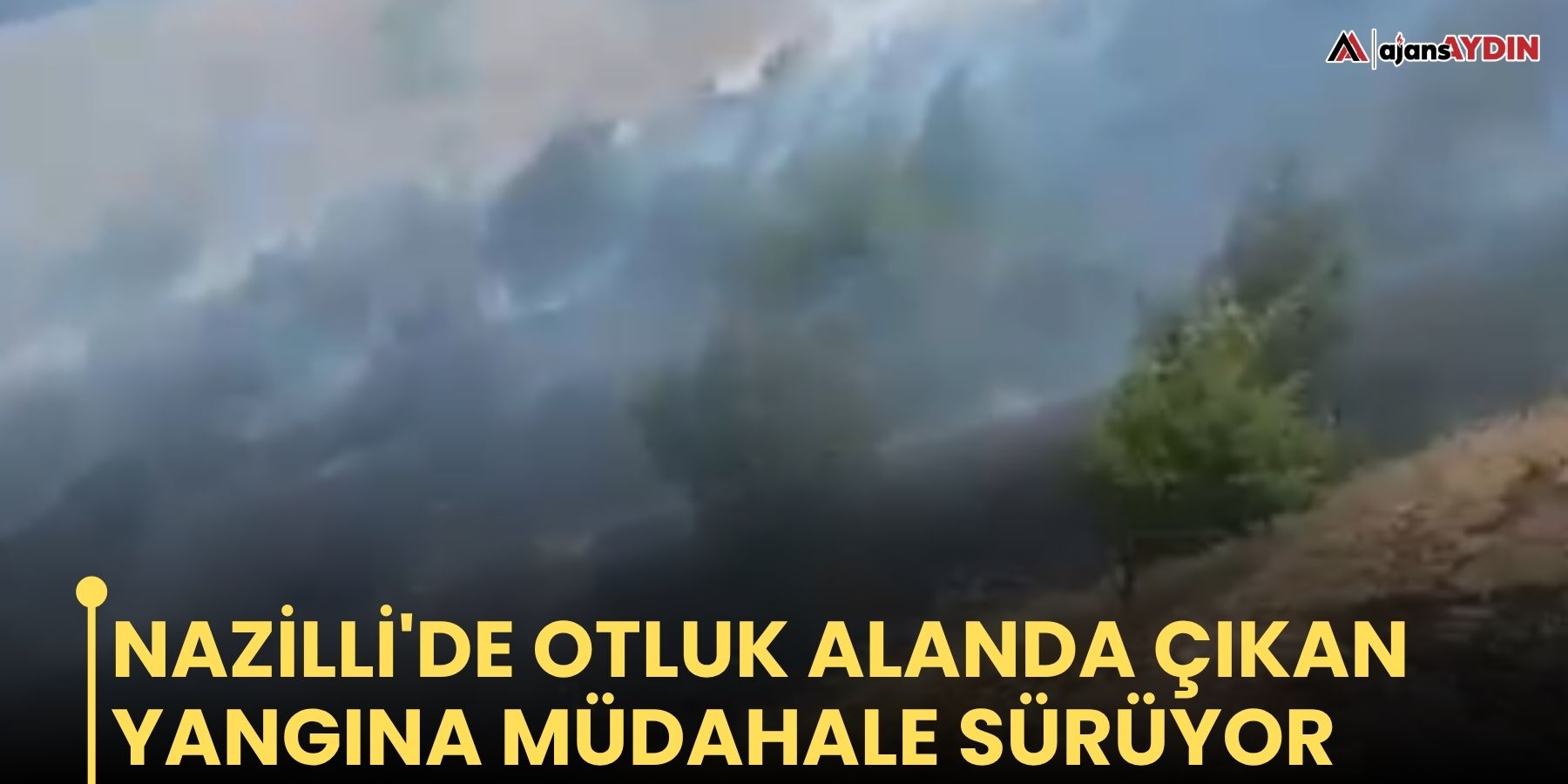 Nazilli'de otluk alanda çıkan yangına müdahale sürüyor