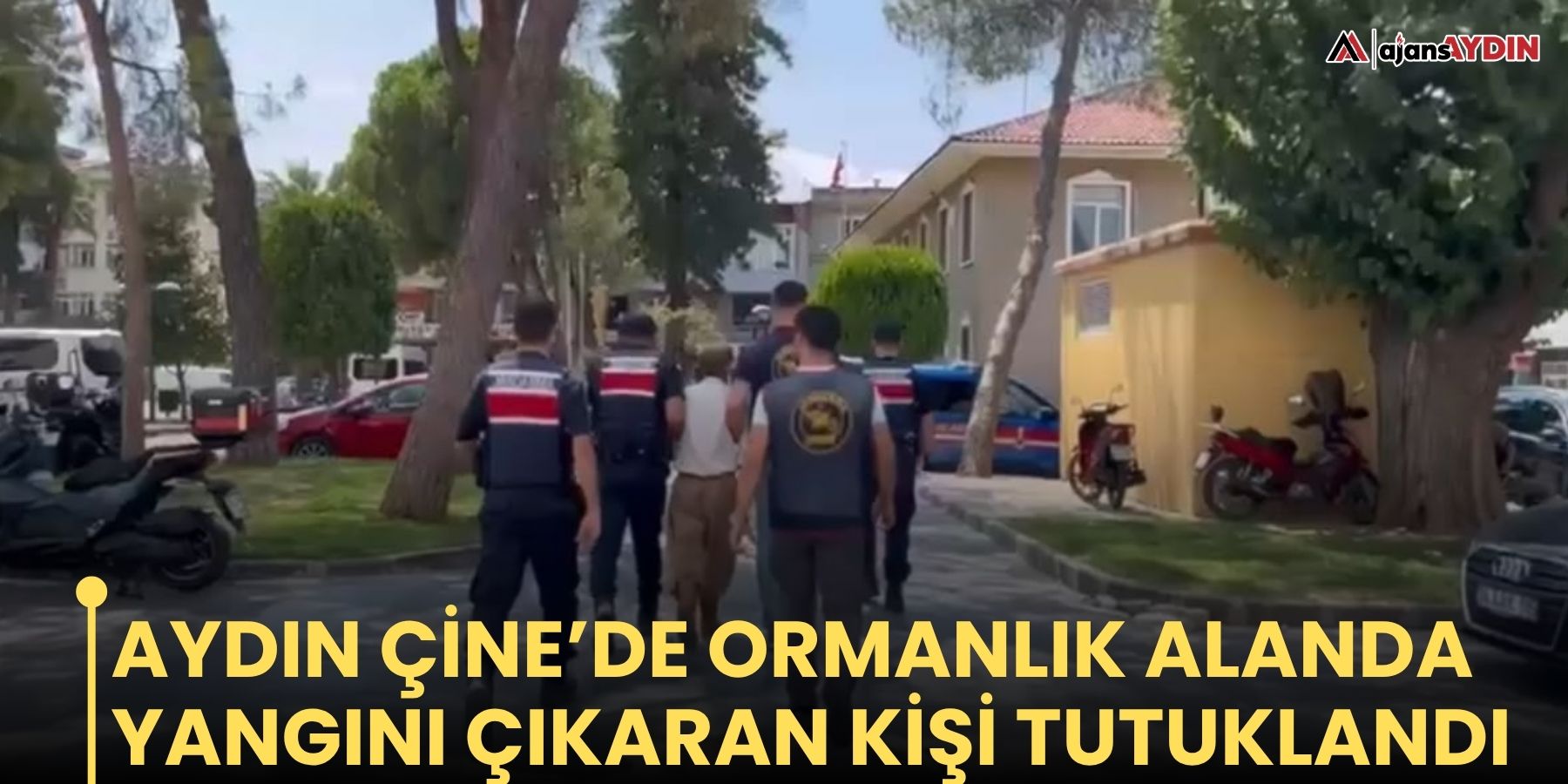 Aydın Çine’de ormanlık alanda yangını çıkaran kişi tutuklandı