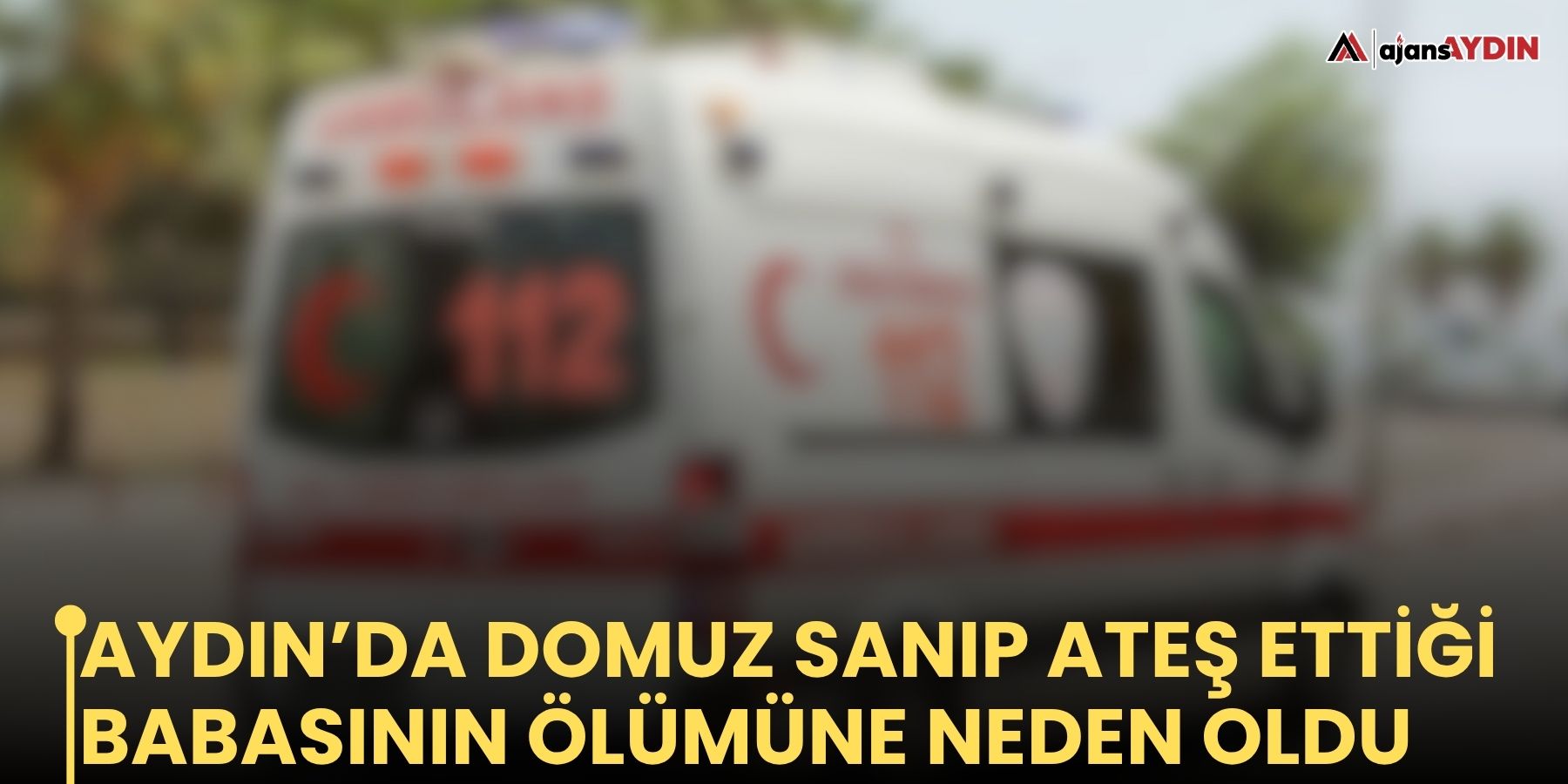 Aydın’da domuz sanıp ateş ettiği babasının ölümüne neden oldu