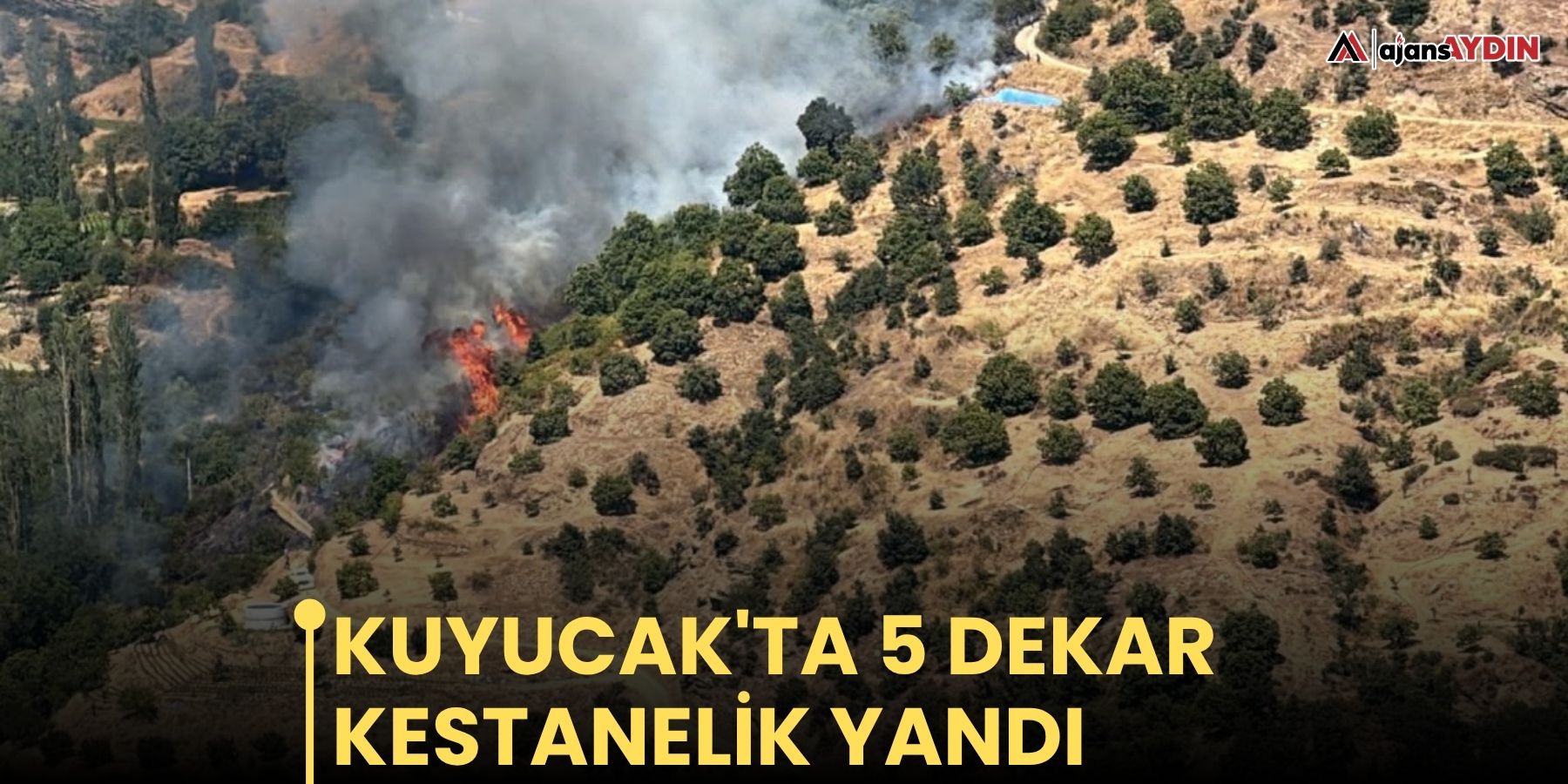 Kuyucak'ta 5 dekar kestanelik yandı