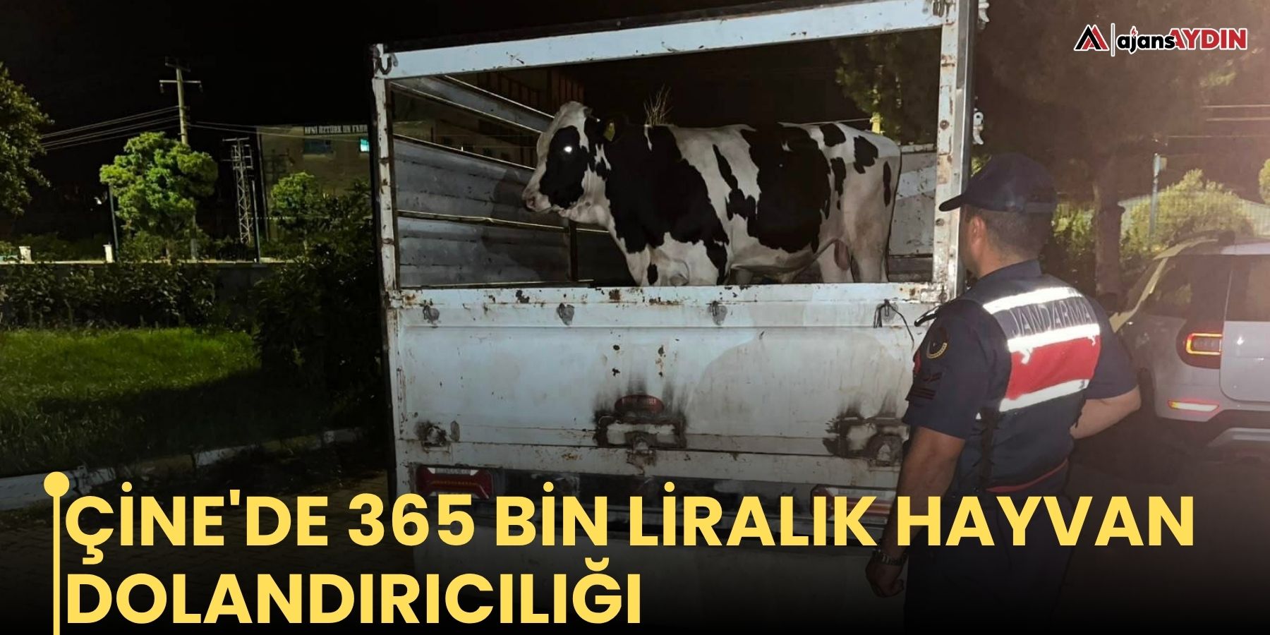 Çine'de 365 bin liralık hayvan dolandırıcılığı
