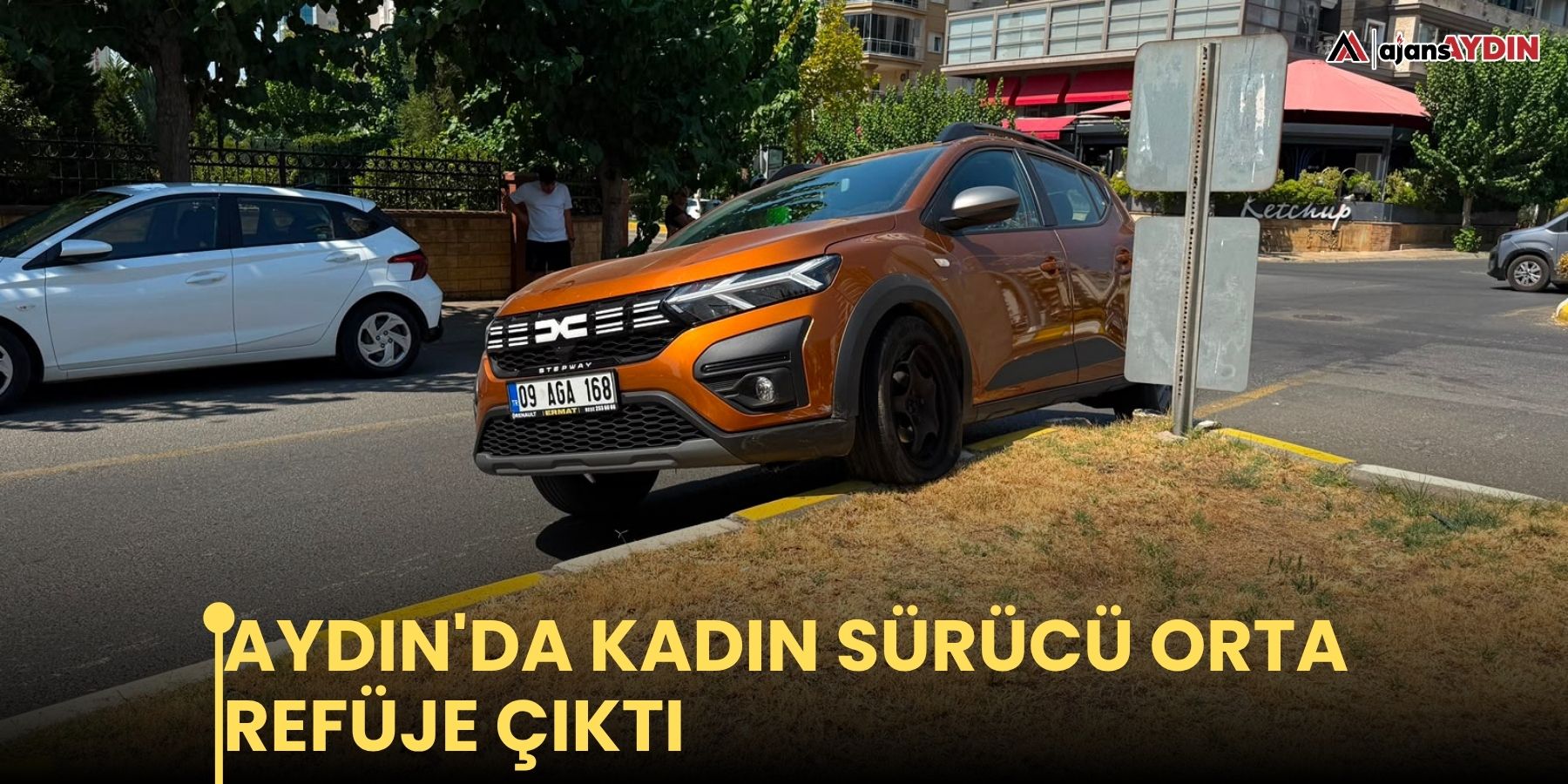 Aydın'da kadın sürücü orta refüje çıktı