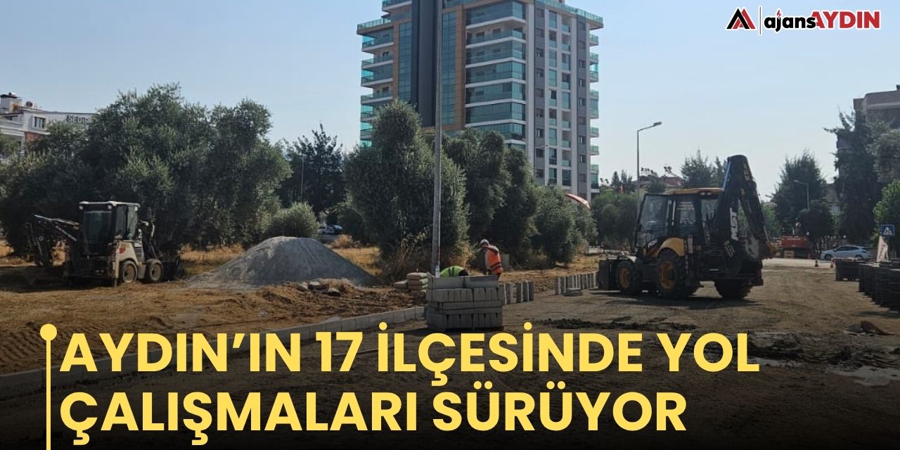 Aydın’ın 17 ilçesinde yol çalışmaları sürüyor