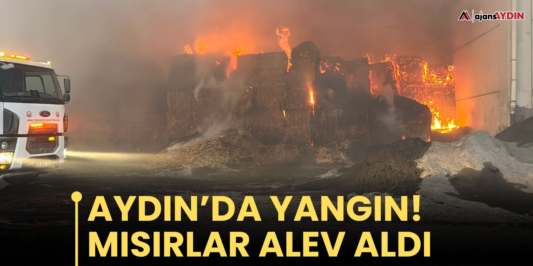 Aydın’da yangın! Mısırlar alev aldı