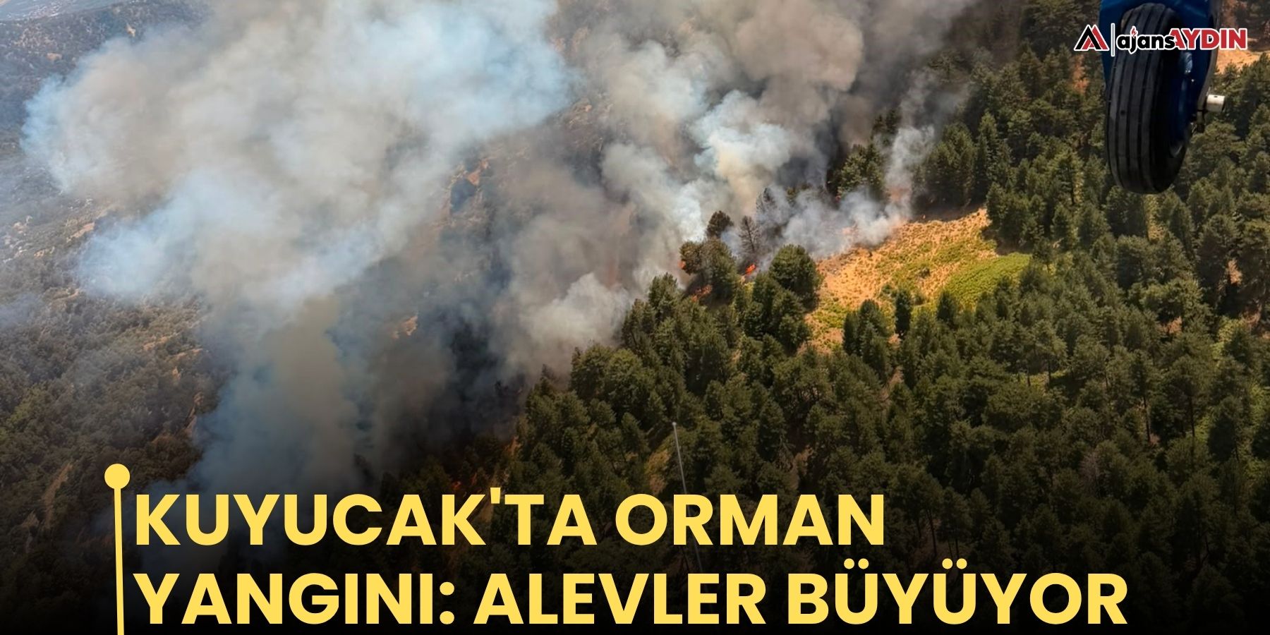 Kuyucak'ta orman yangını: alevler büyüyor