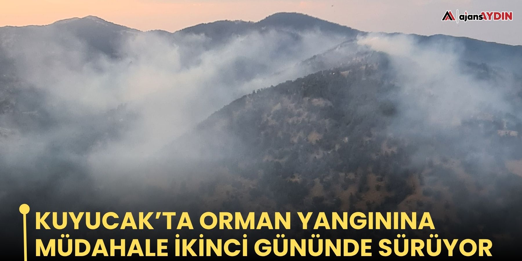Kuyucak’ta orman yangınına müdahale ikinci gününde sürüyor