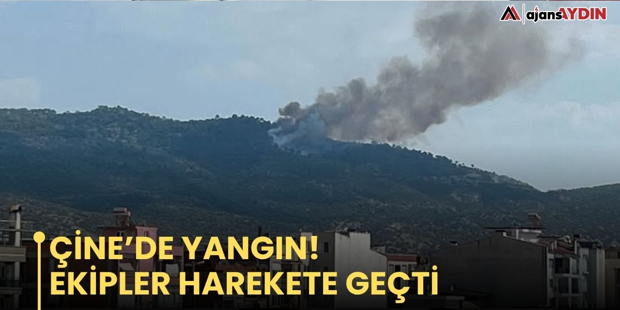 Çine’de yangın! Ekipler harekete geçti