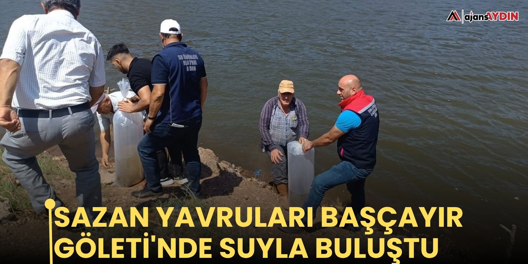 Sazan yavruları Başçayır Göleti'nde suyla buluştu