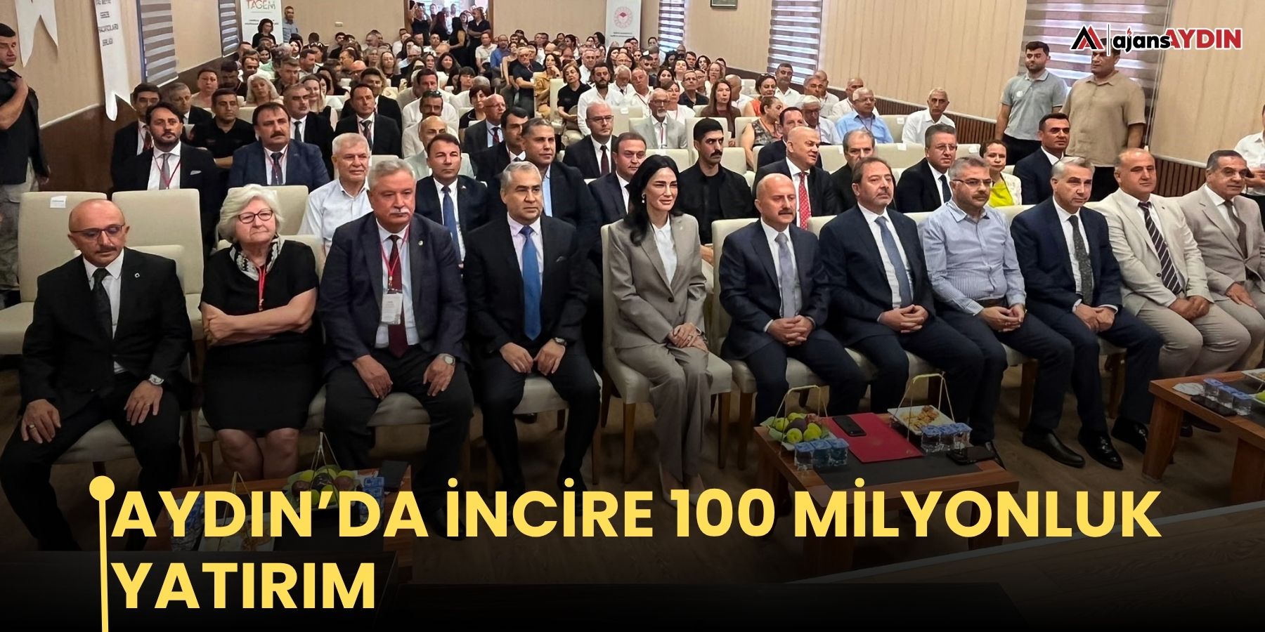 Aydın’da incire 100 milyonluk yatırım