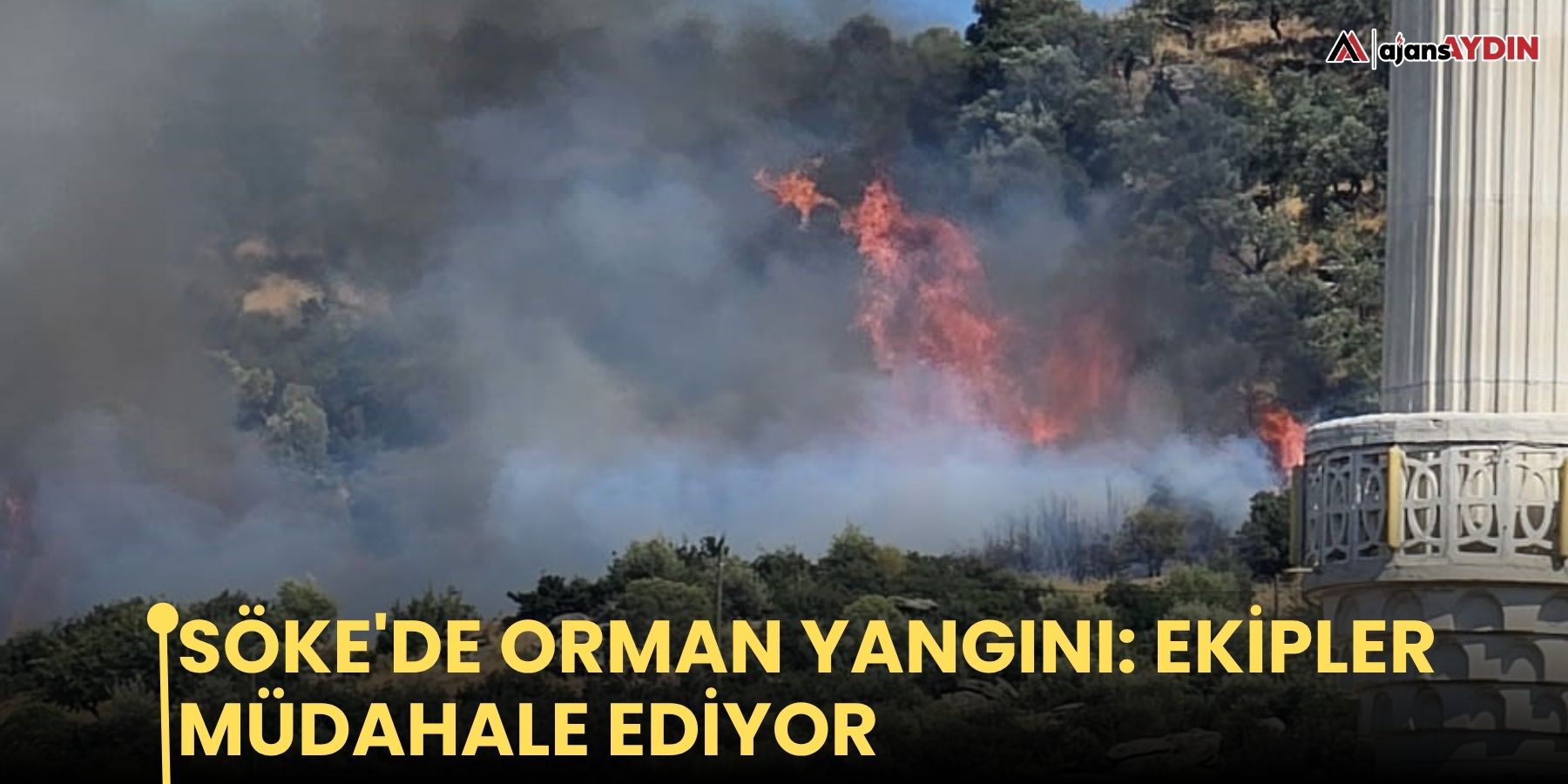 Söke'de orman yangını: ekipler müdahale ediyor