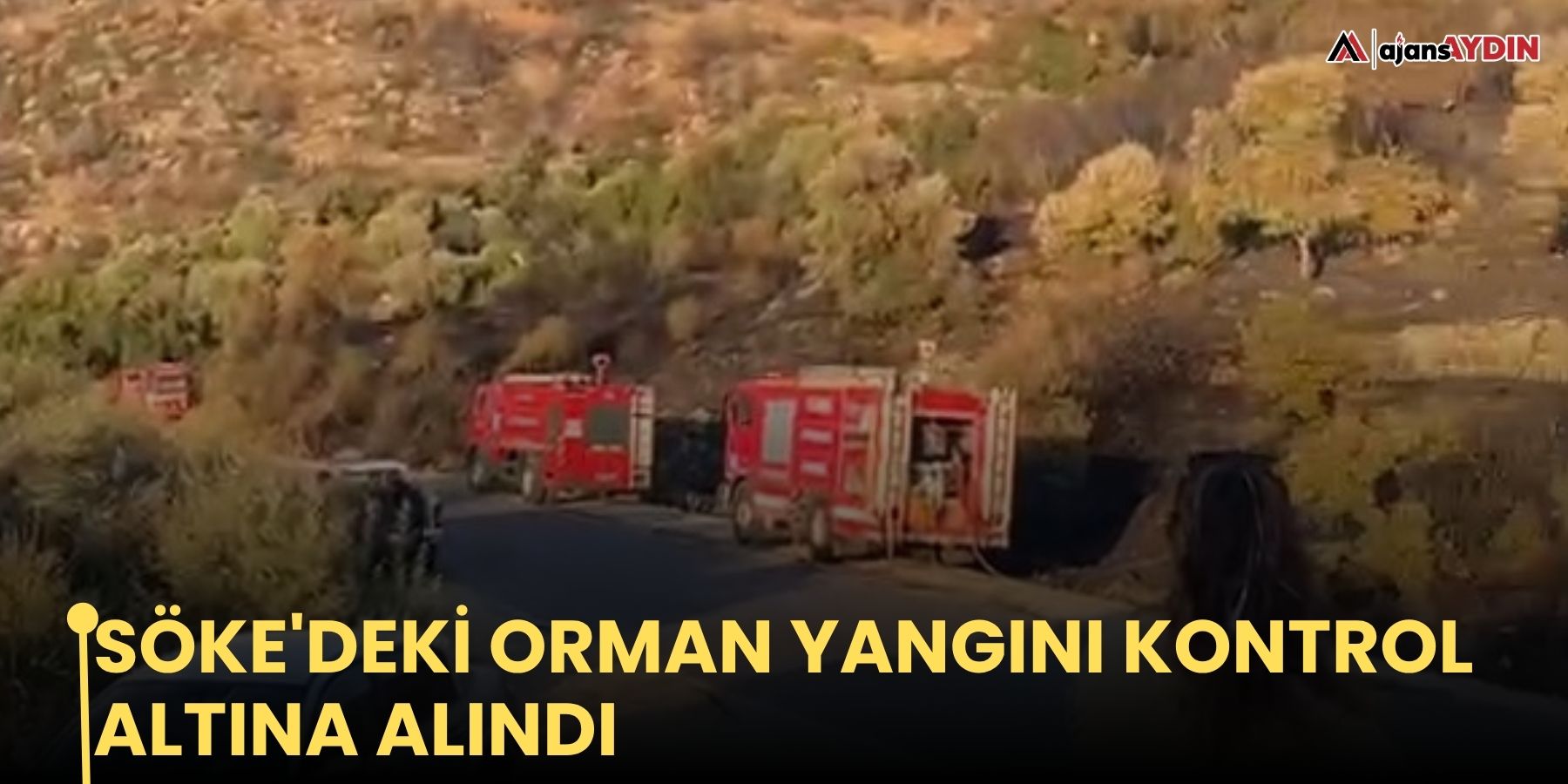 Söke'deki orman yangını kontrol altına alındı