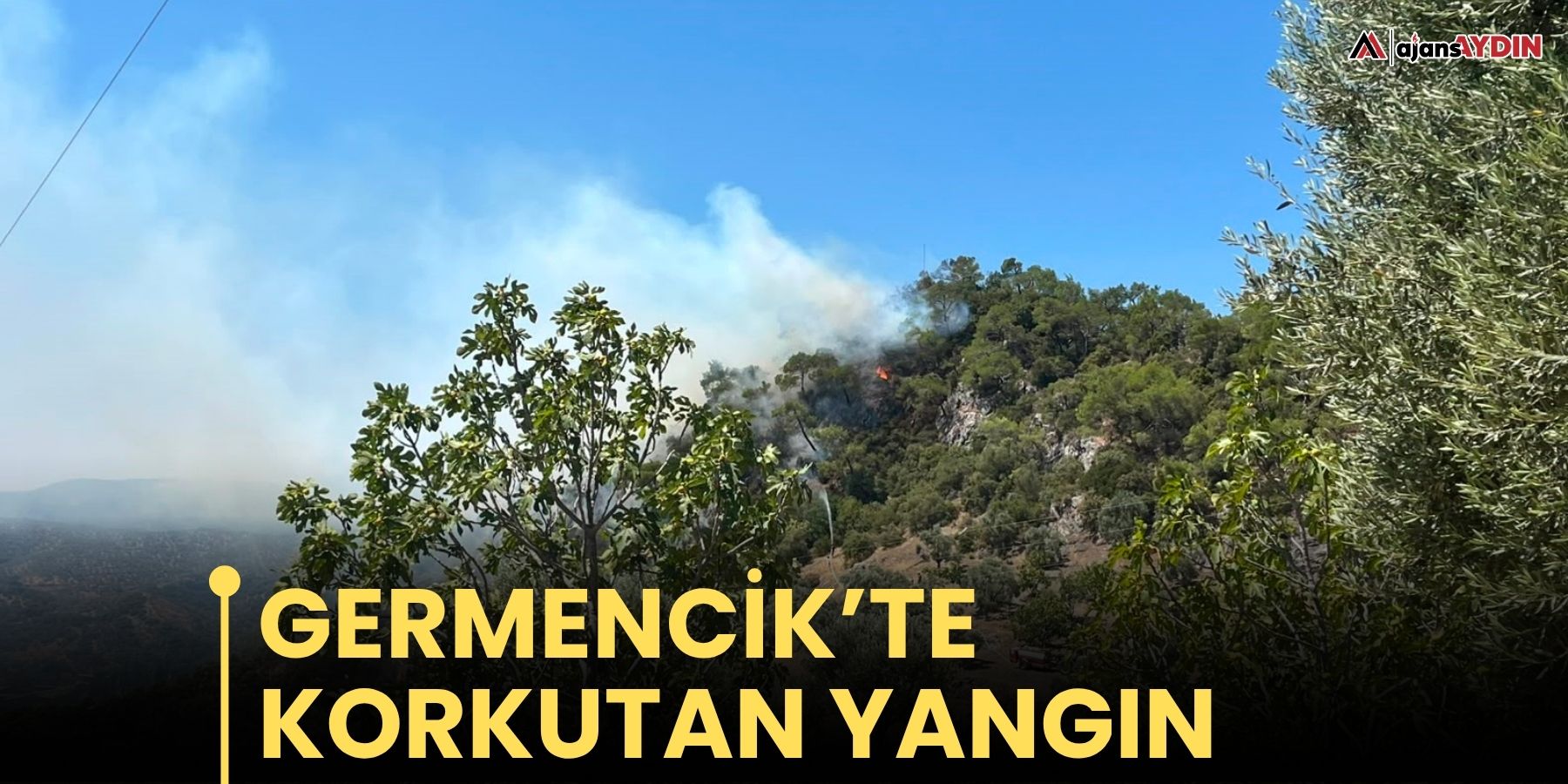 Germencik’te korkutan yangın
