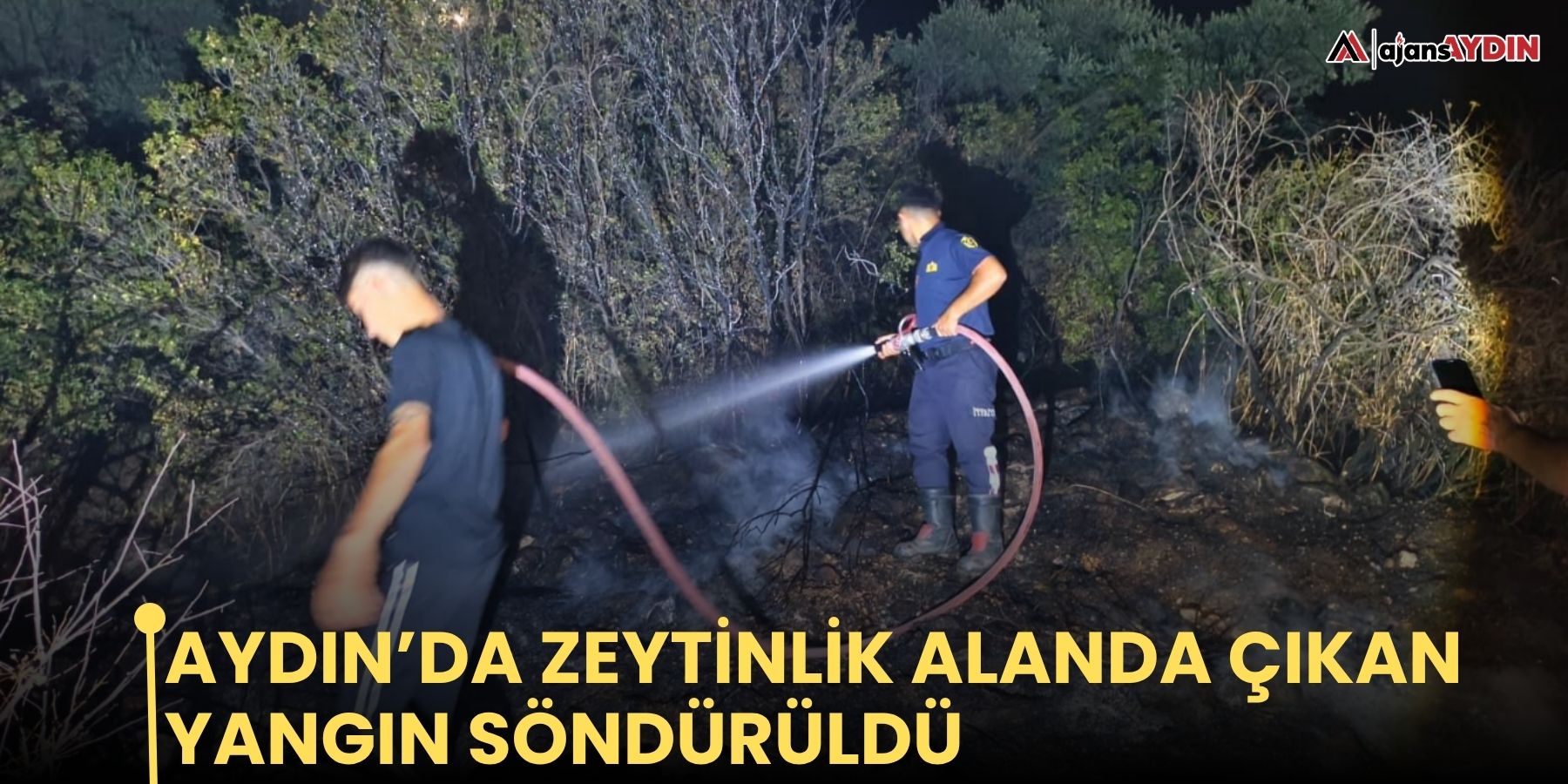 Aydın’da zeytinlik alanda çıkan yangın söndürüldü