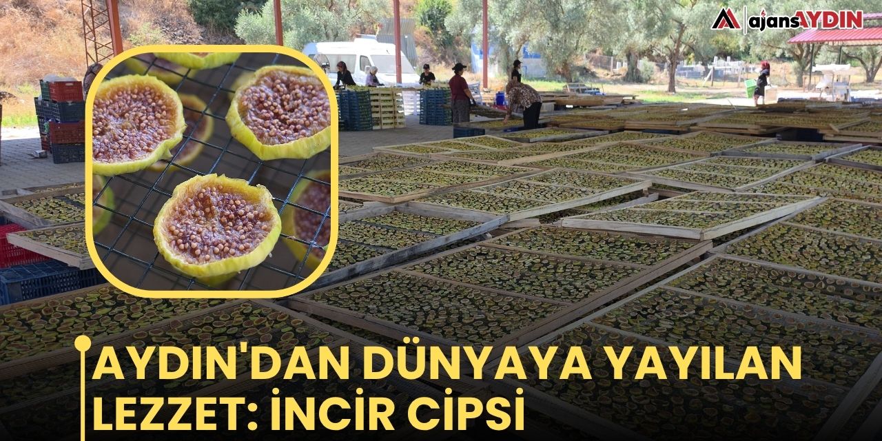Aydın'dan dünyaya yayılan lezzet: İncir Cipsi