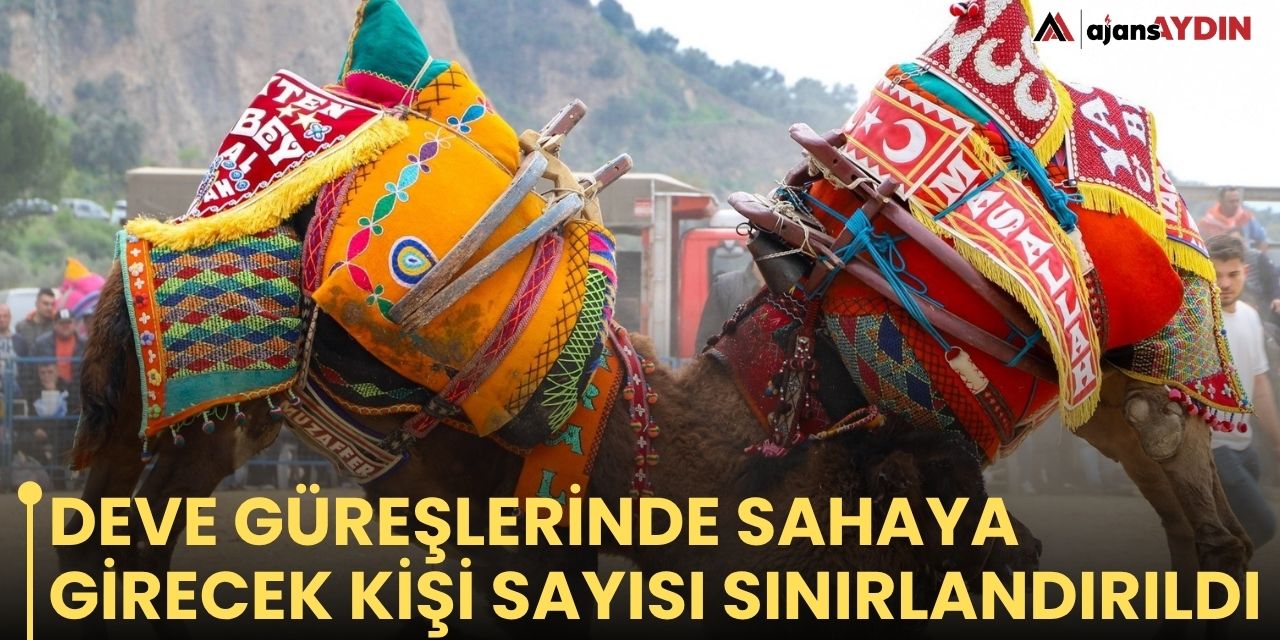 Deve güreşlerinde sahaya girecek kişi sayısı sınırlandırıldı