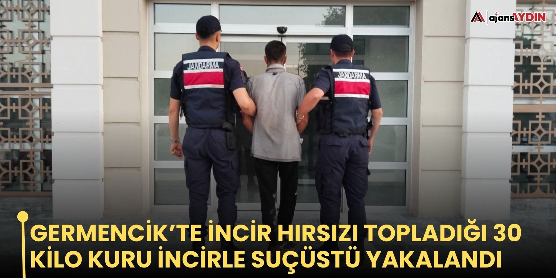 Germencik’te incir hırsızı topladığı 30 kilo kuru incirle suçüstü yakalandı