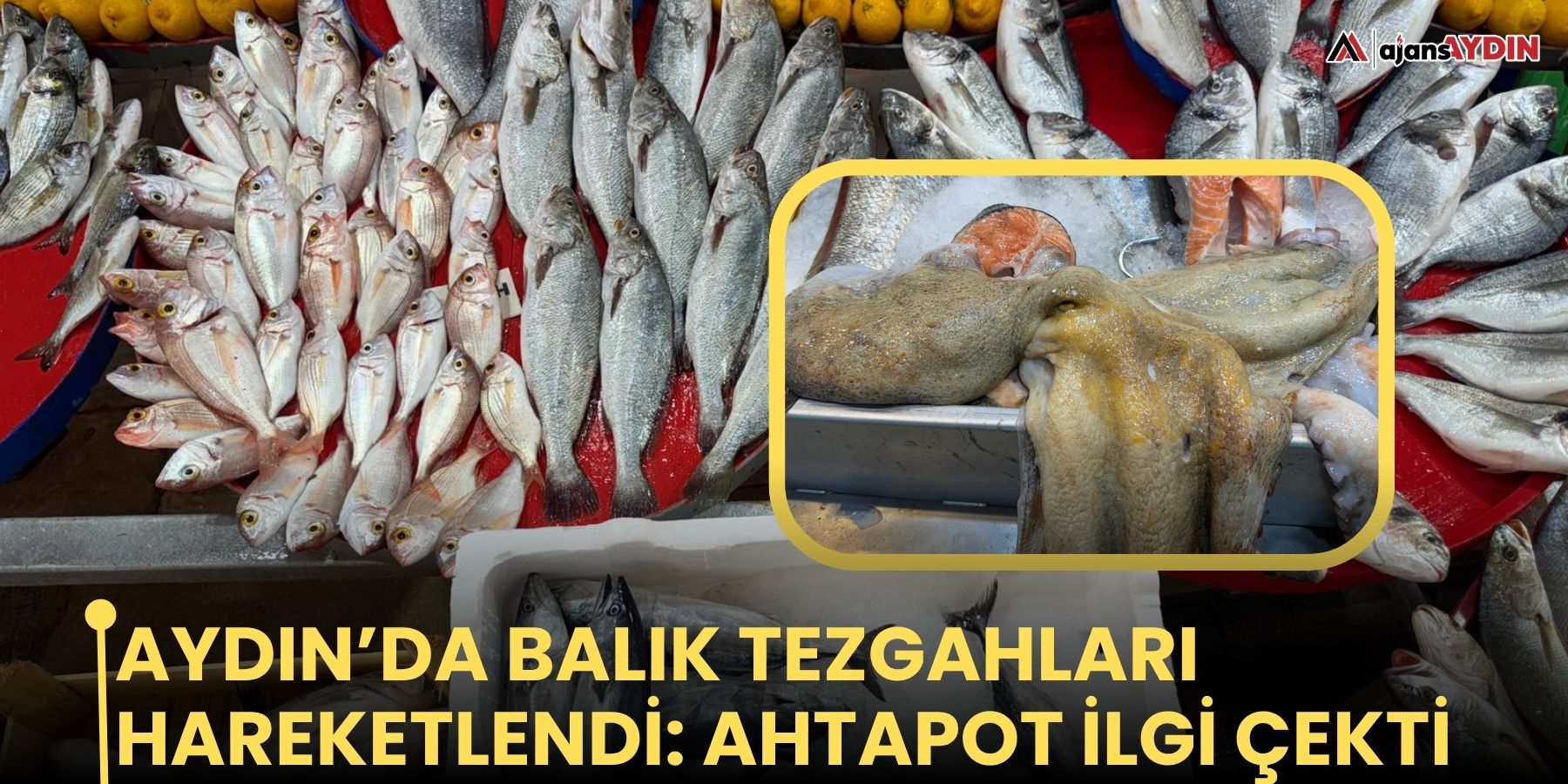 Aydın’da balık tezgahları hareketlendi: ahtapot ilgi çekti