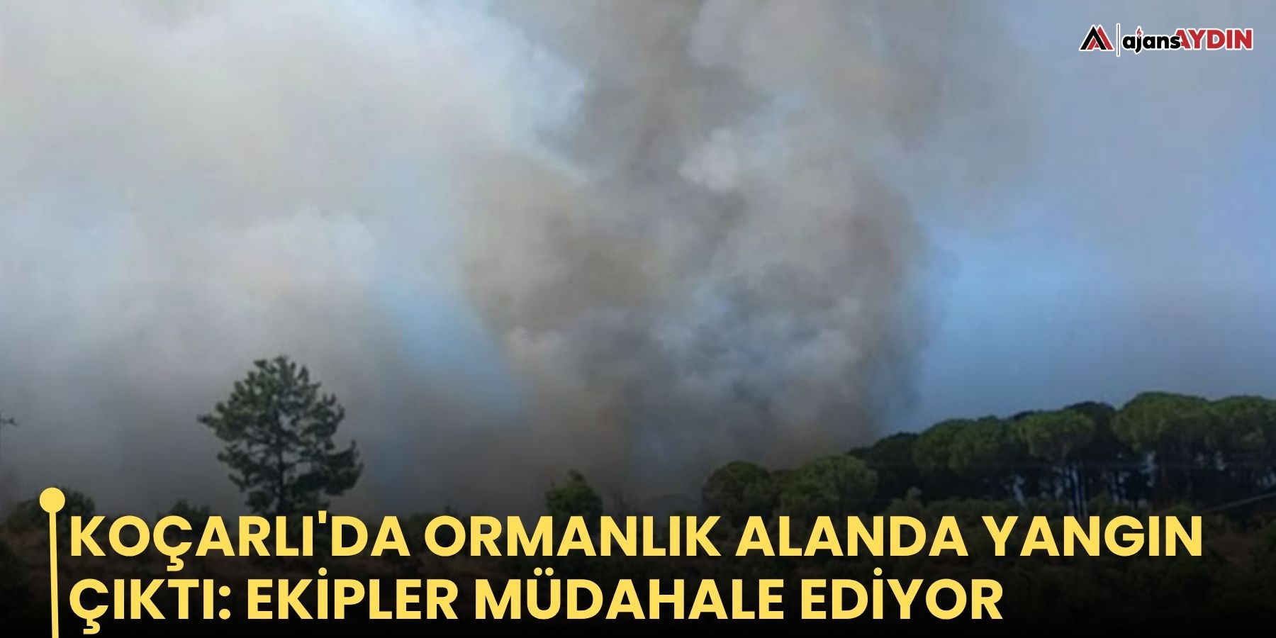Koçarlı'da ormanlık alanda yangın çıktı: ekipler müdahale ediyor