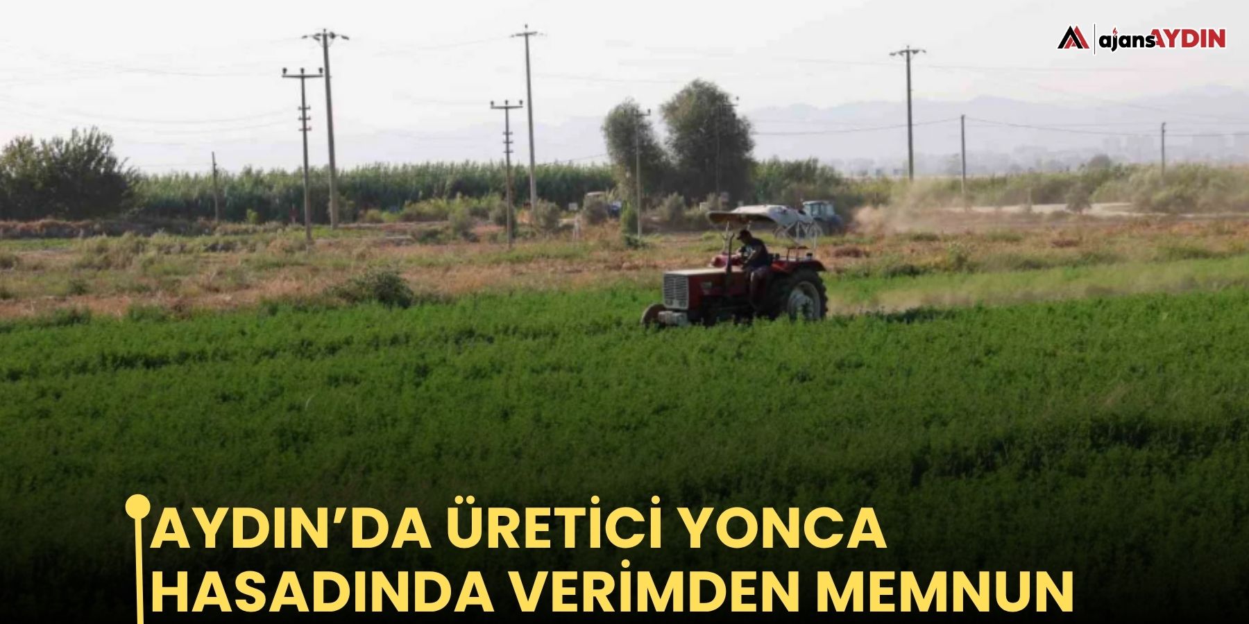 Aydın’da üretici yonca hasadında verimden memnun