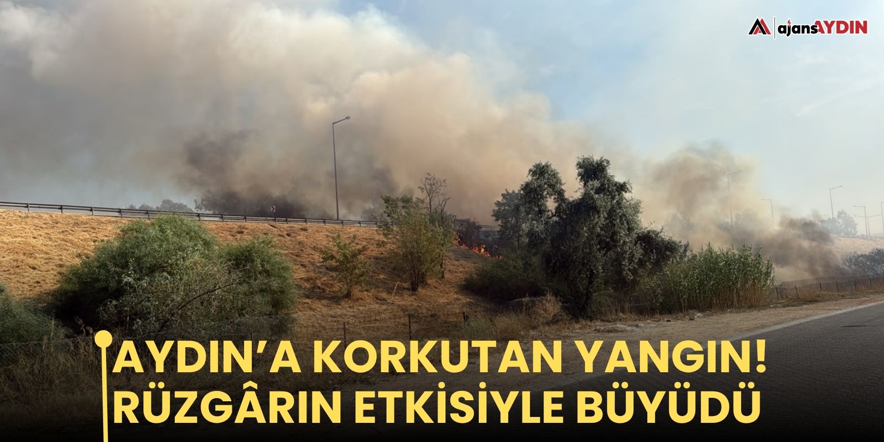 Aydın’da korkutan yangın! Rüzgârın etkisiyle büyüdü