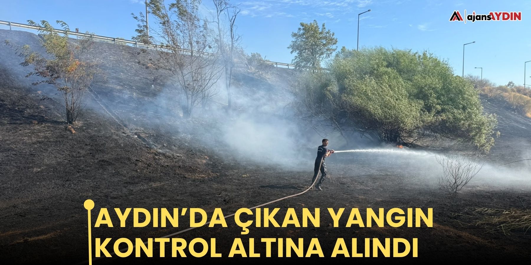 Aydın’da çıkan yangın kontrol altına alındı