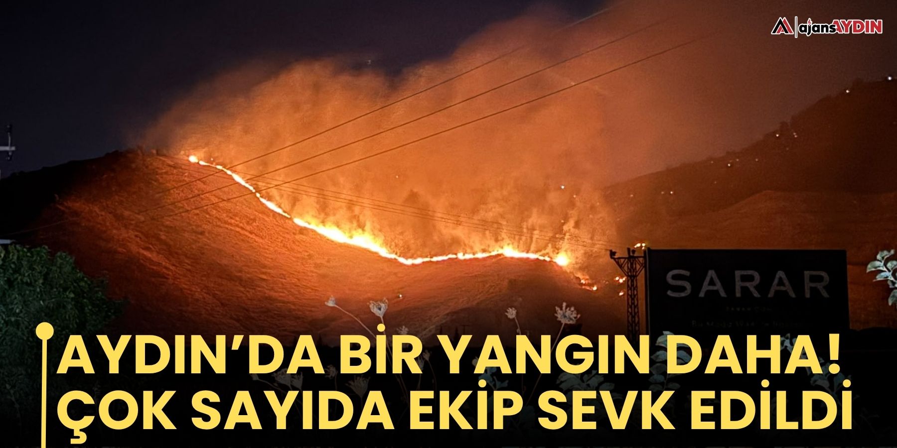 Aydın’da bir yangın daha!  Çok sayıda ekip sevk edildi