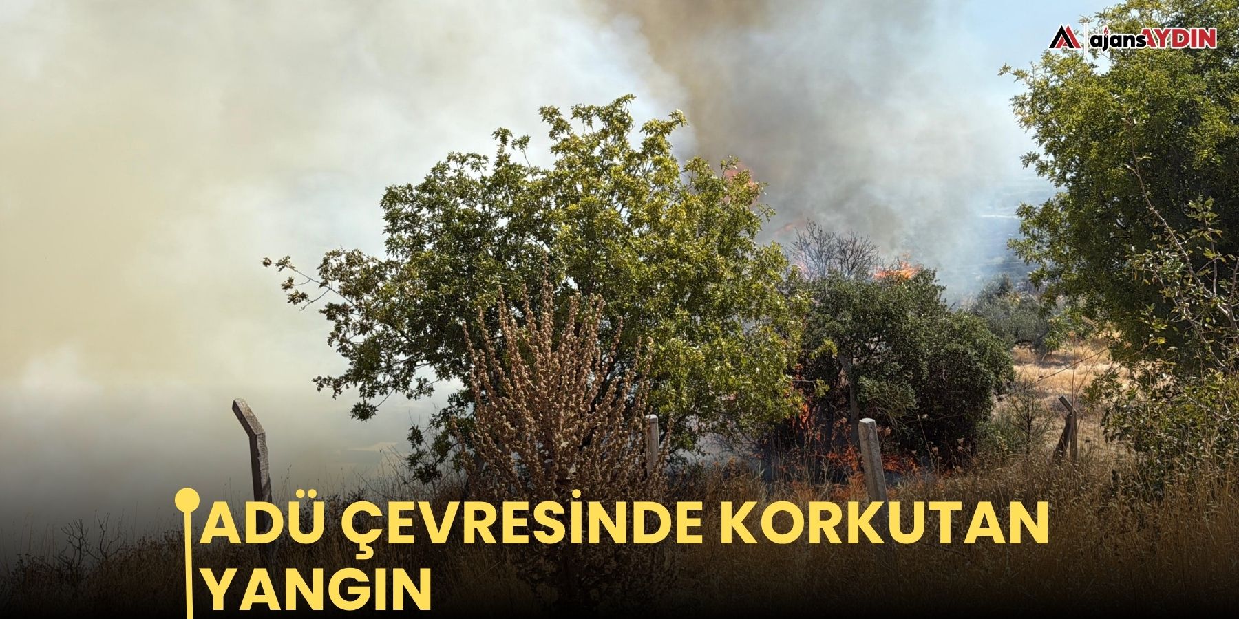 ADÜ çevresinde korkutan yangın