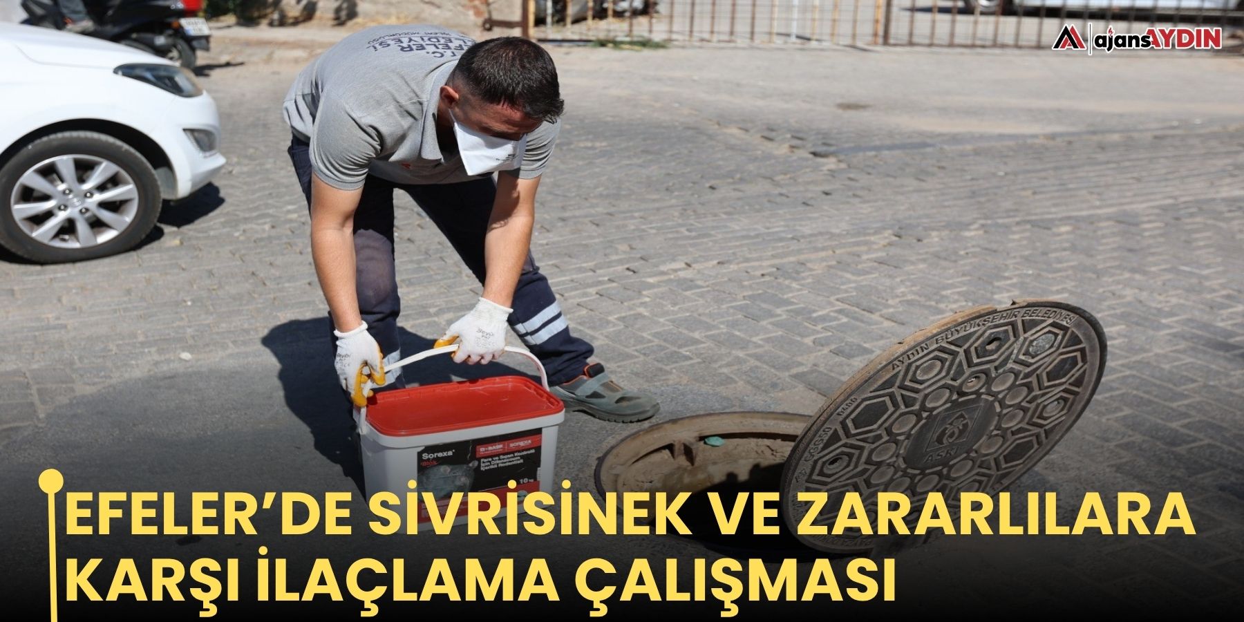 Efeler’de sivrisinek ve zararlılara karşı ilaçlama çalışması
