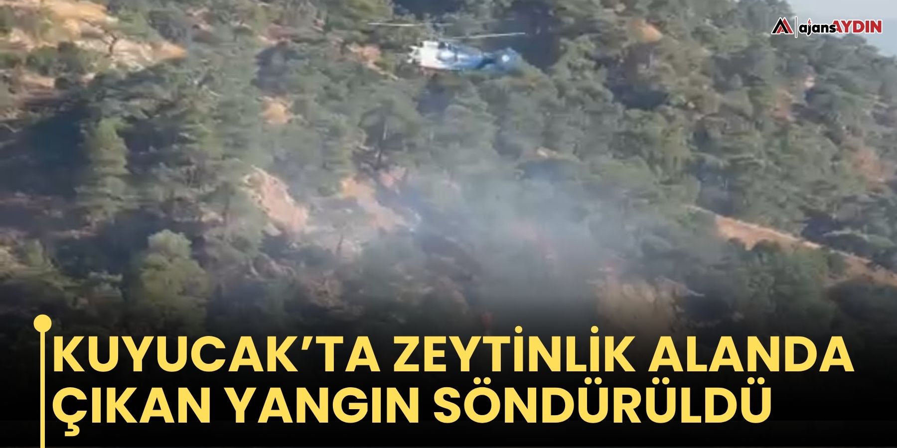Kuyucak’ta Zeytinlik Alanda Çıkan Yangın Söndürüldü