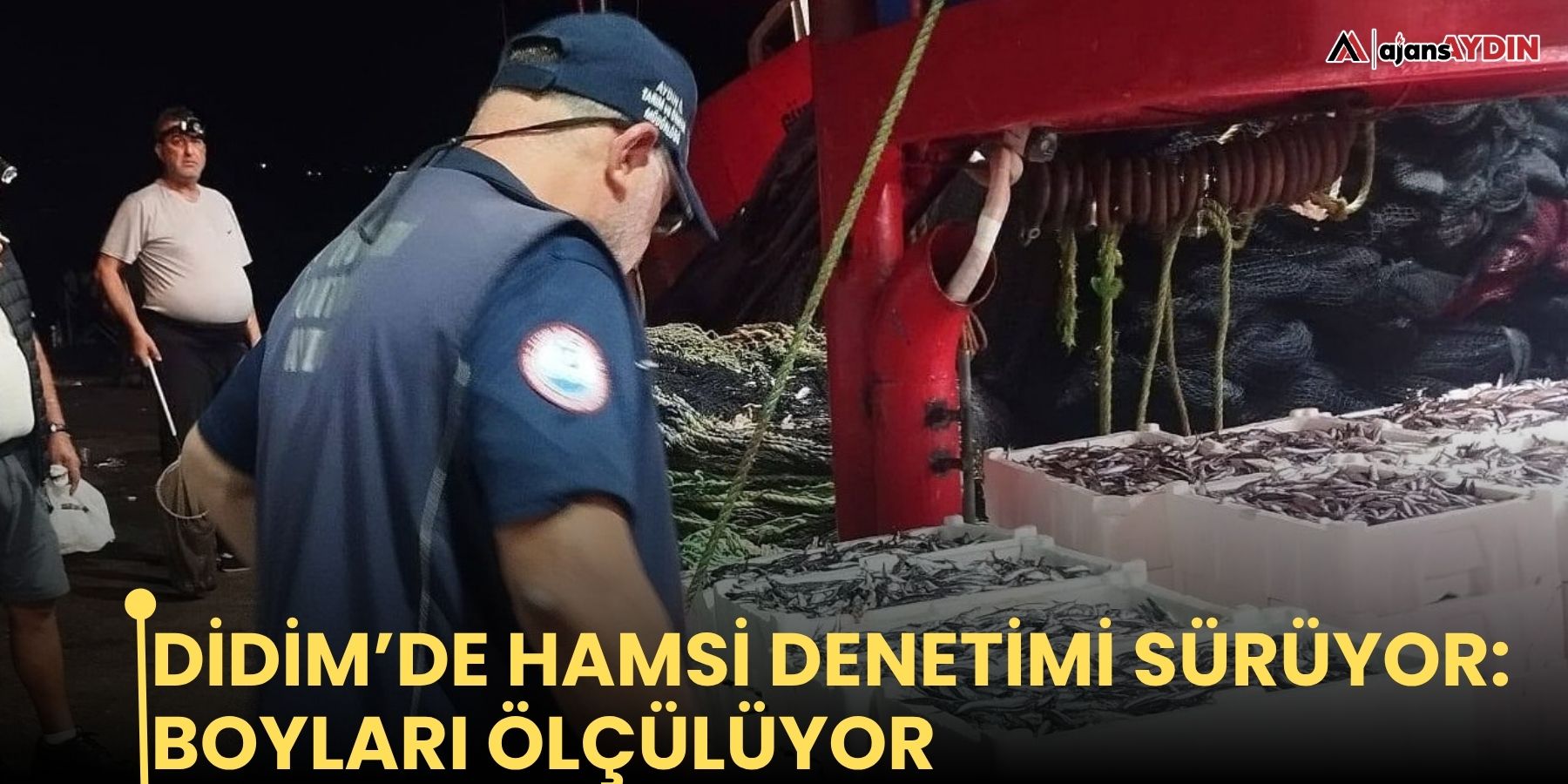 Didim’de hamsi denetimi sürüyor: boyları ölçülüyor